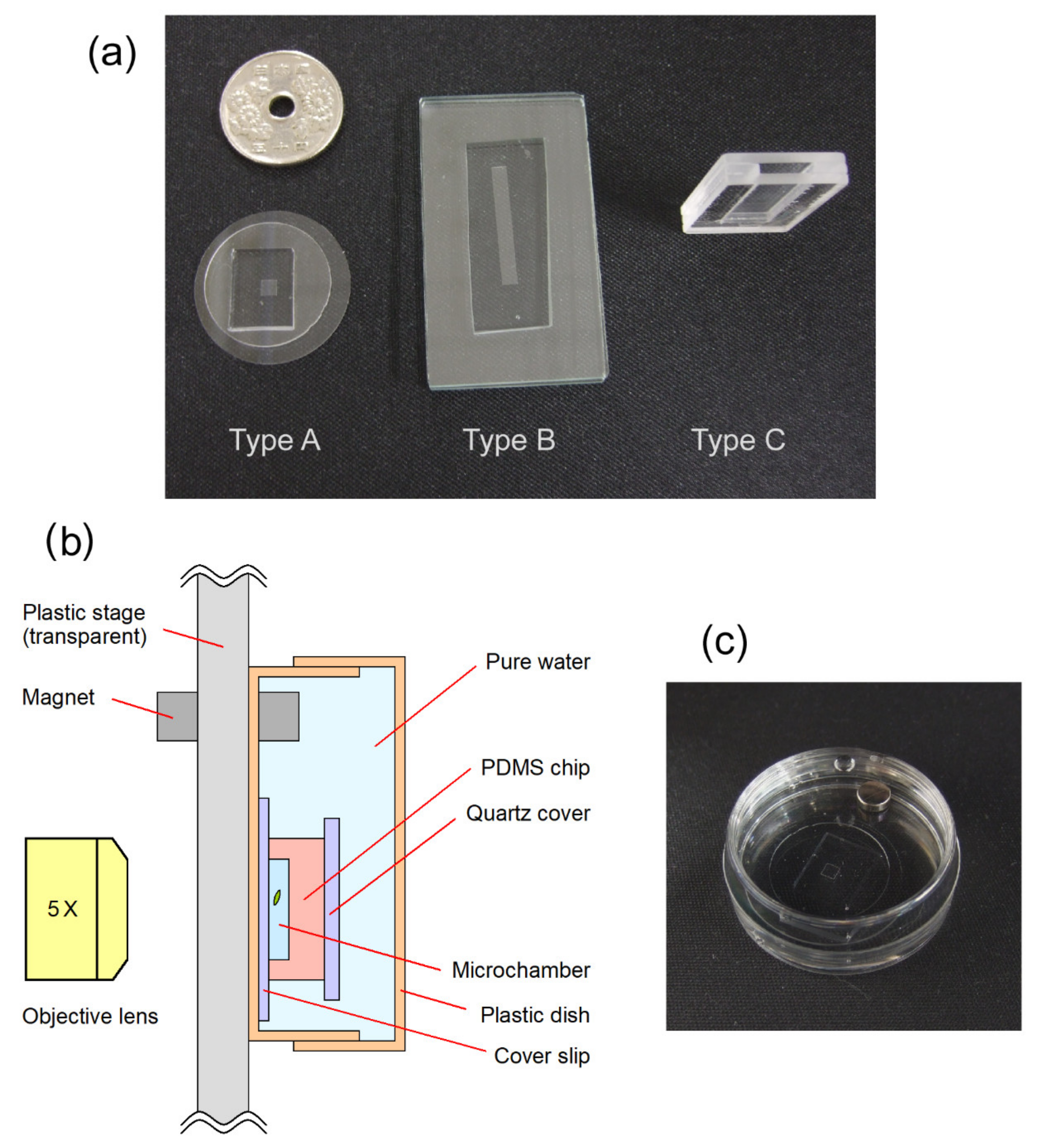 Plants 10 01411 g001