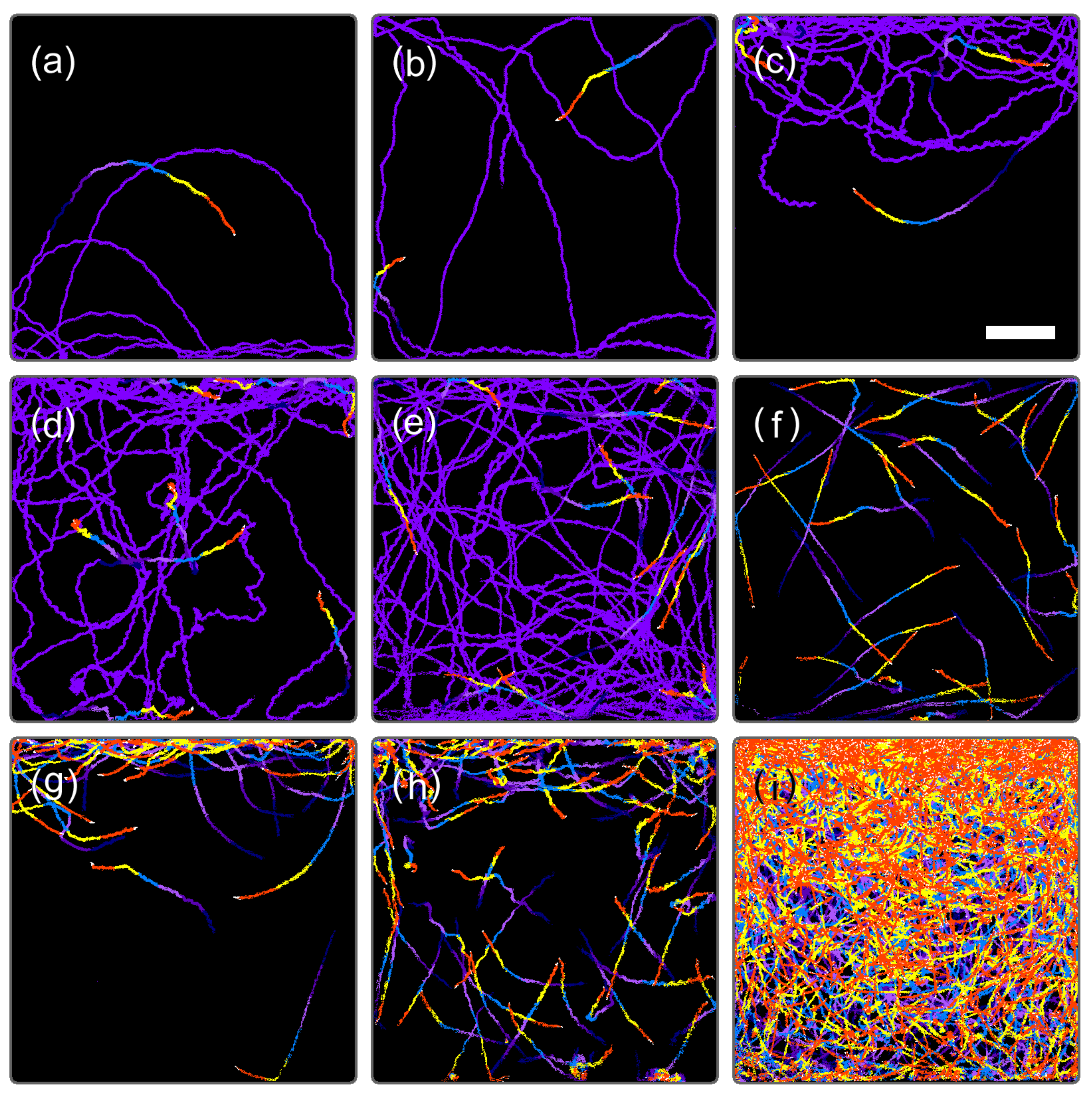 Plants 10 01411 g003
