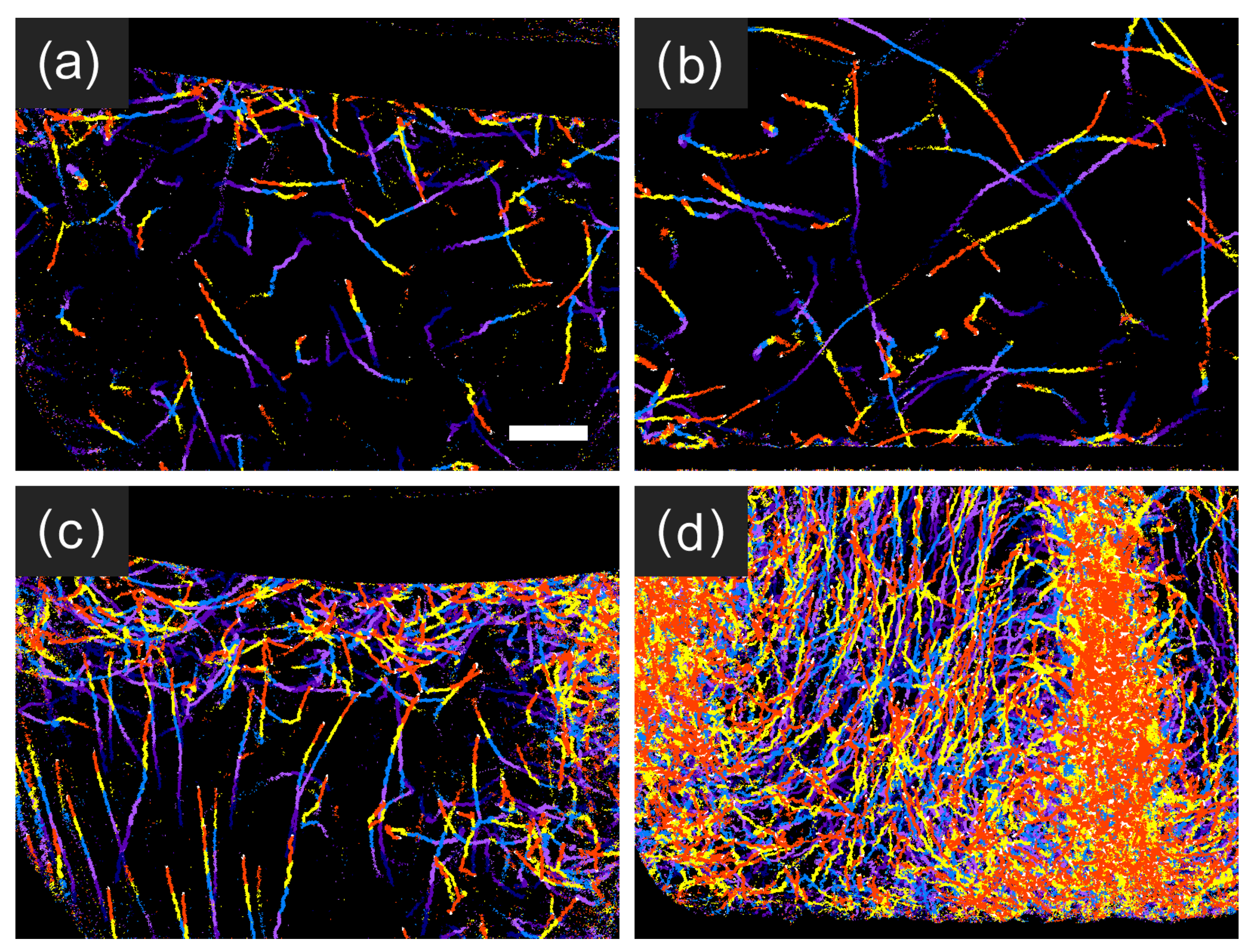 Plants 10 01411 g007