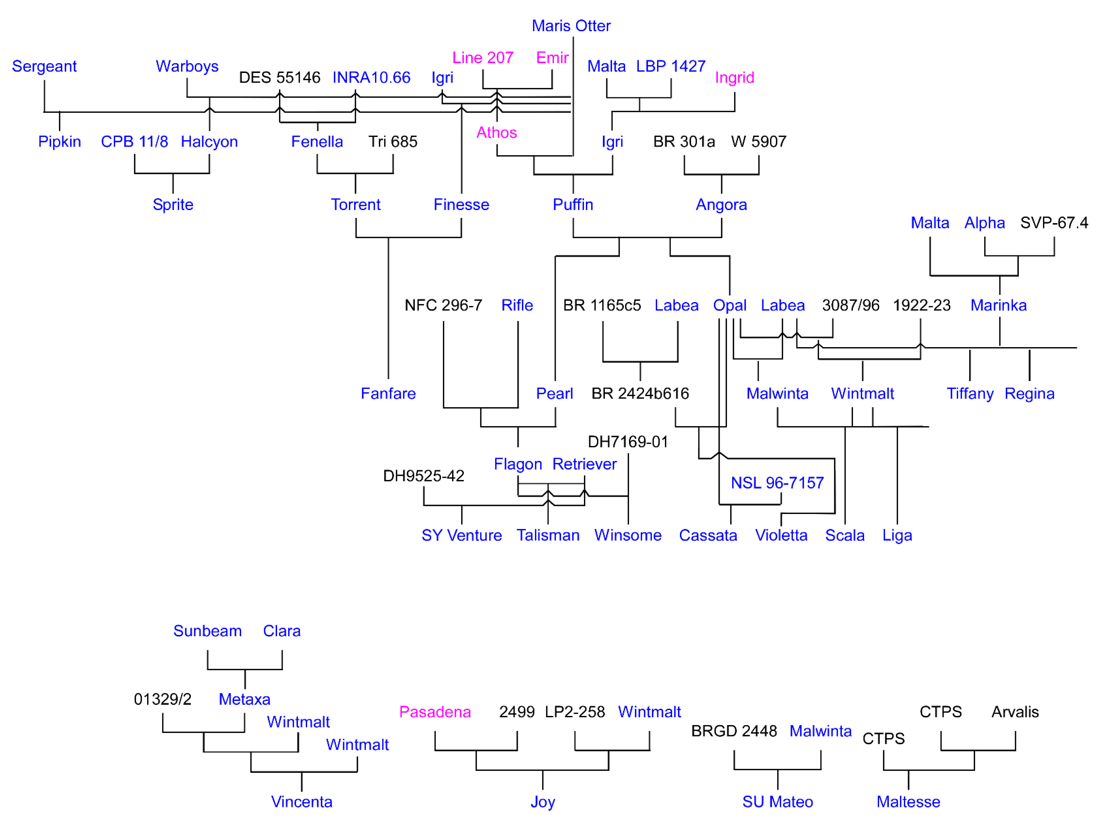 Plants 10 01415 g001