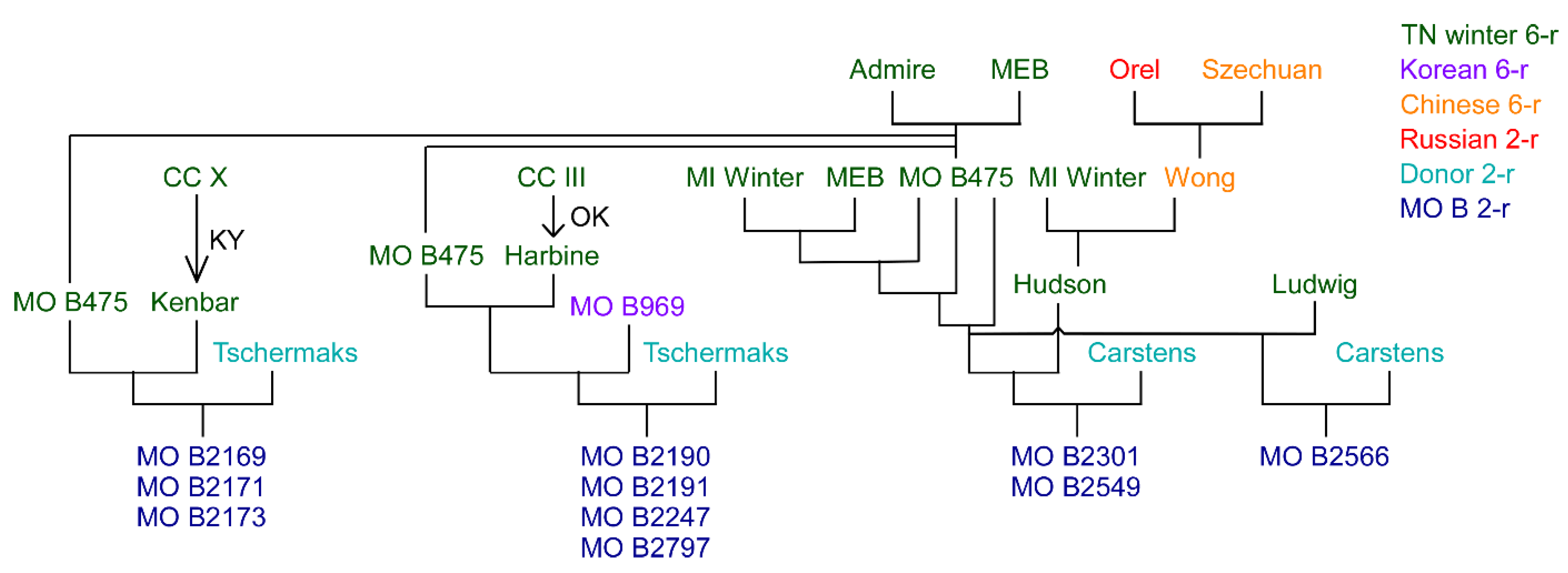 Plants 10 01415 g002