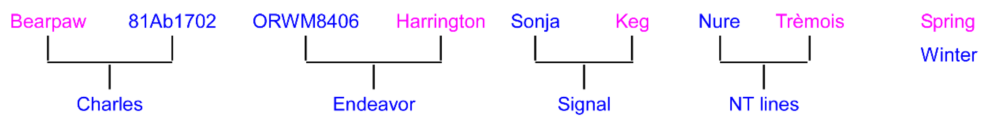 Plants 10 01415 g004