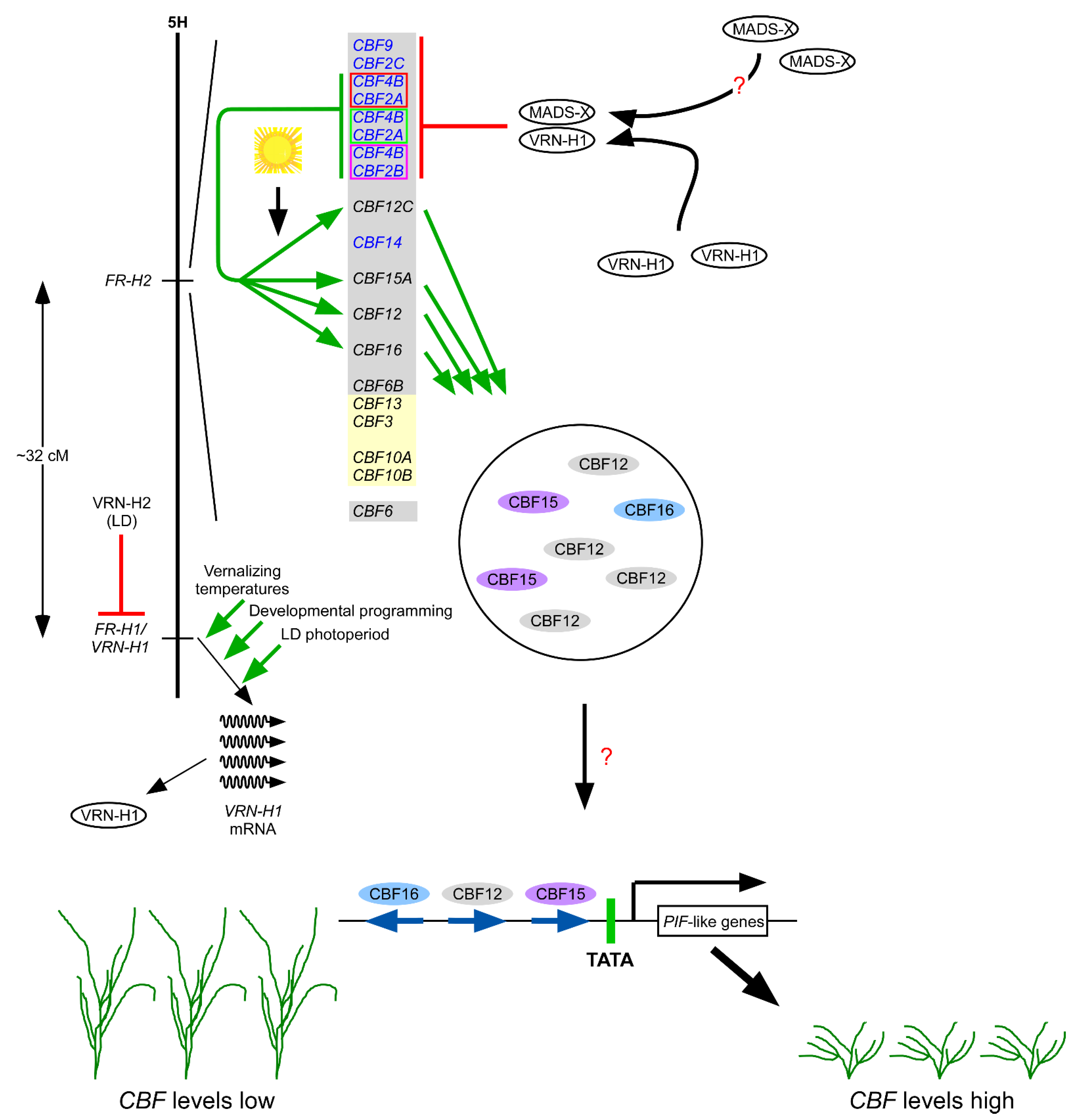 Plants 10 01415 g007