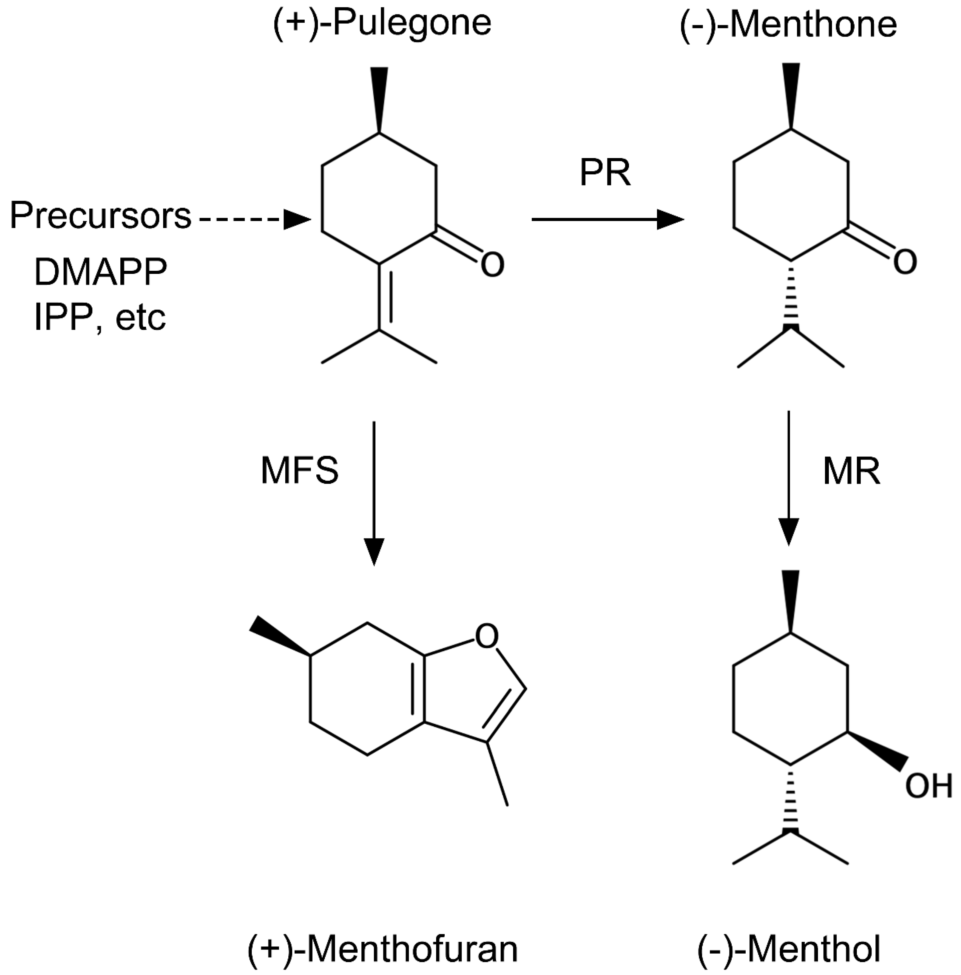 Plants 10 01420 g001