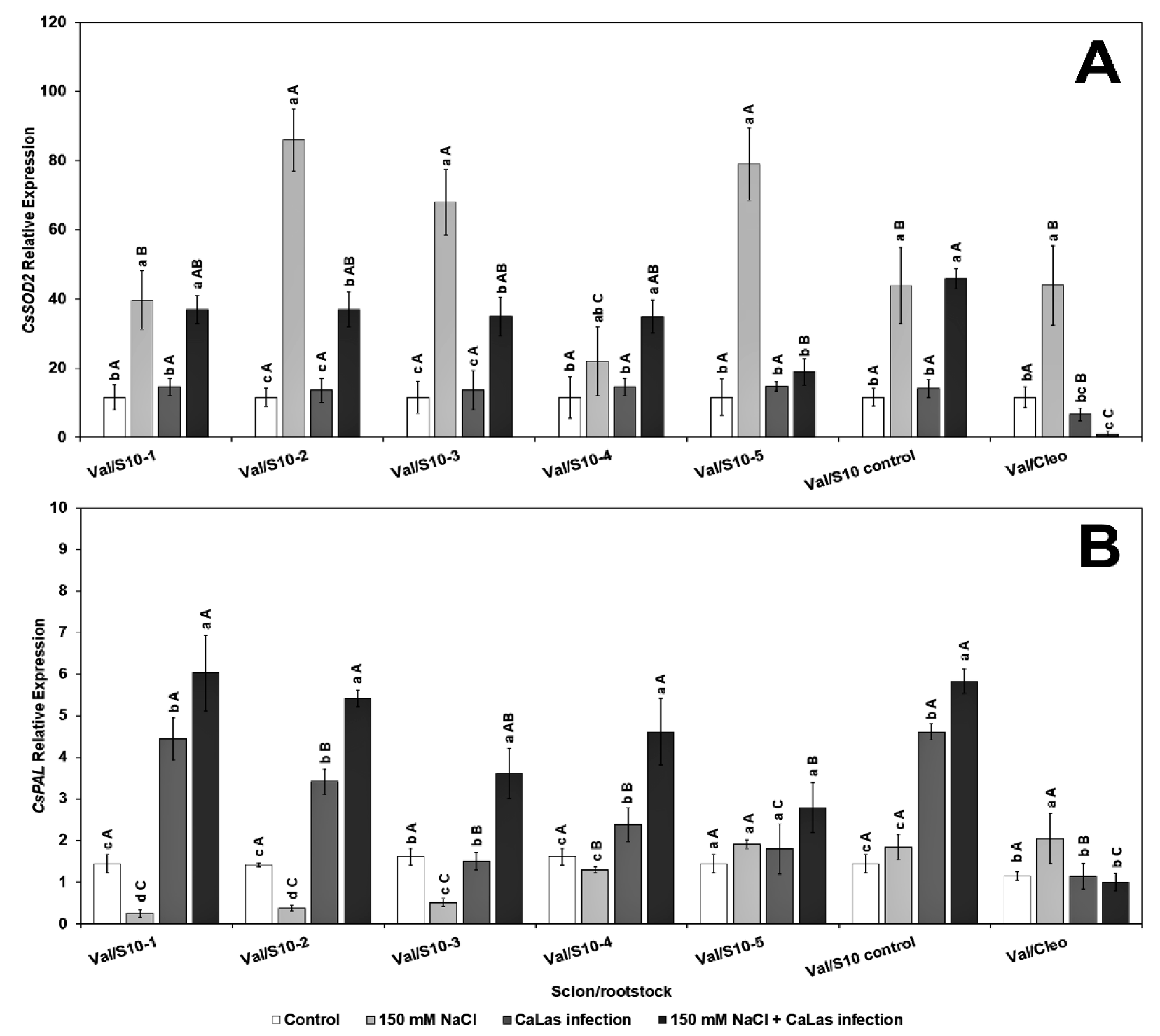 Plants 10 01439 g002
