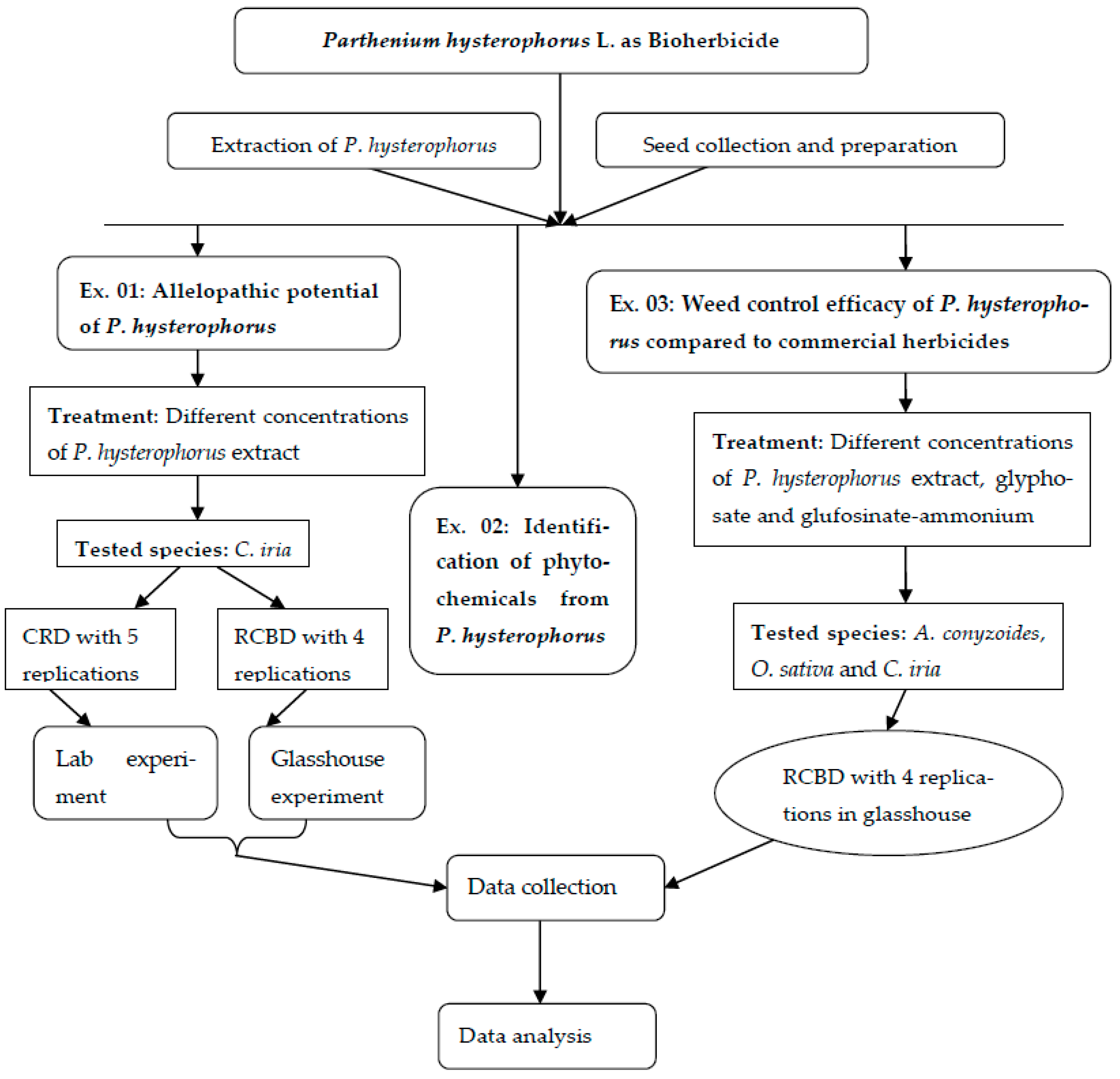 Plants 10 01445 g005