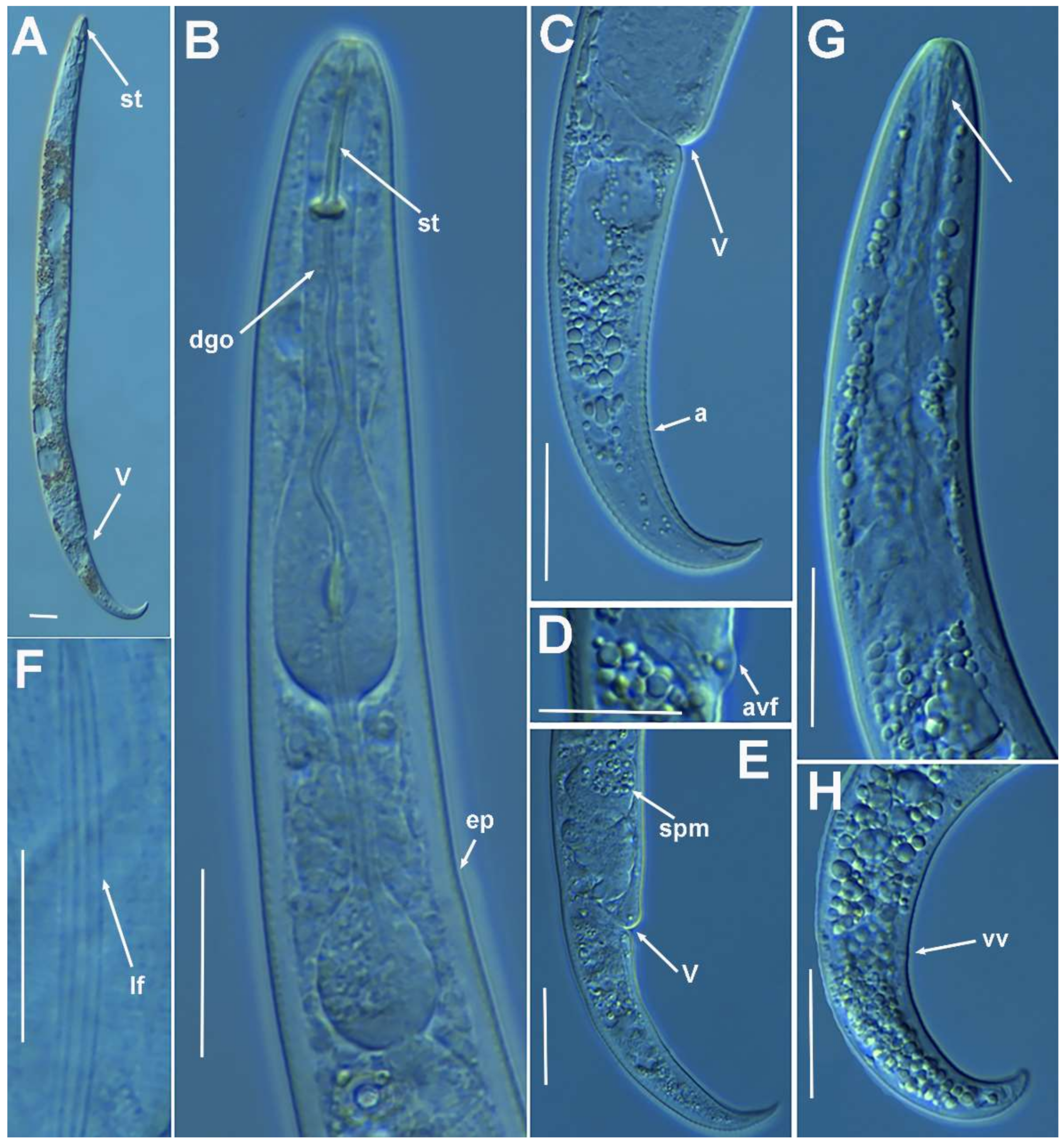Plants 10 01454 g009