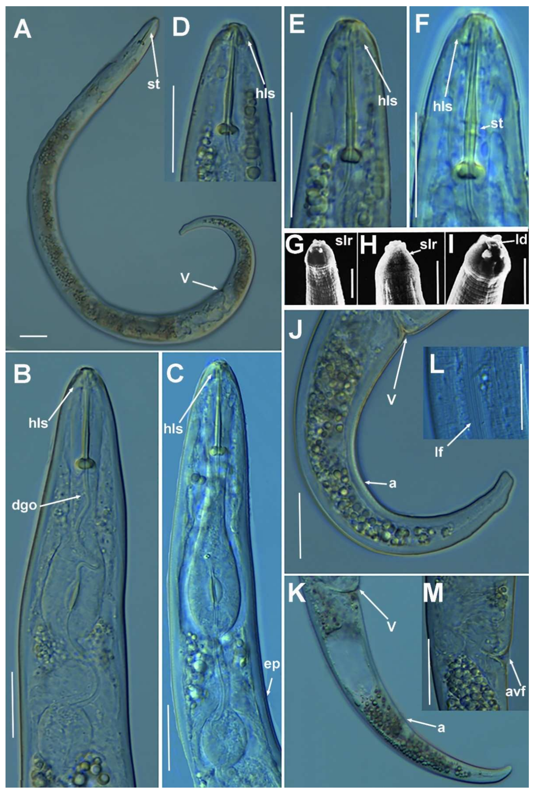 Plants 10 01454 g010