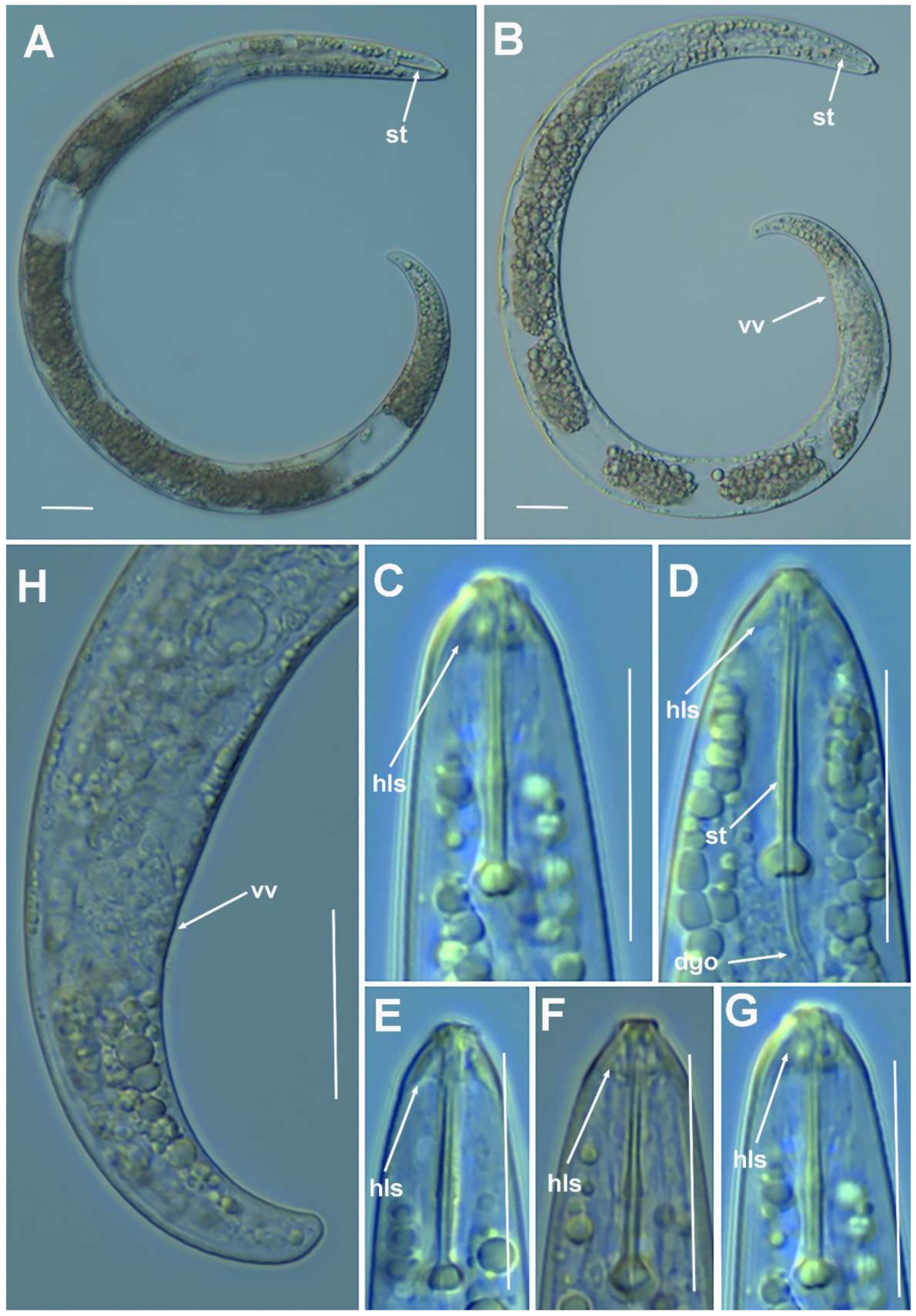 Plants 10 01454 g011