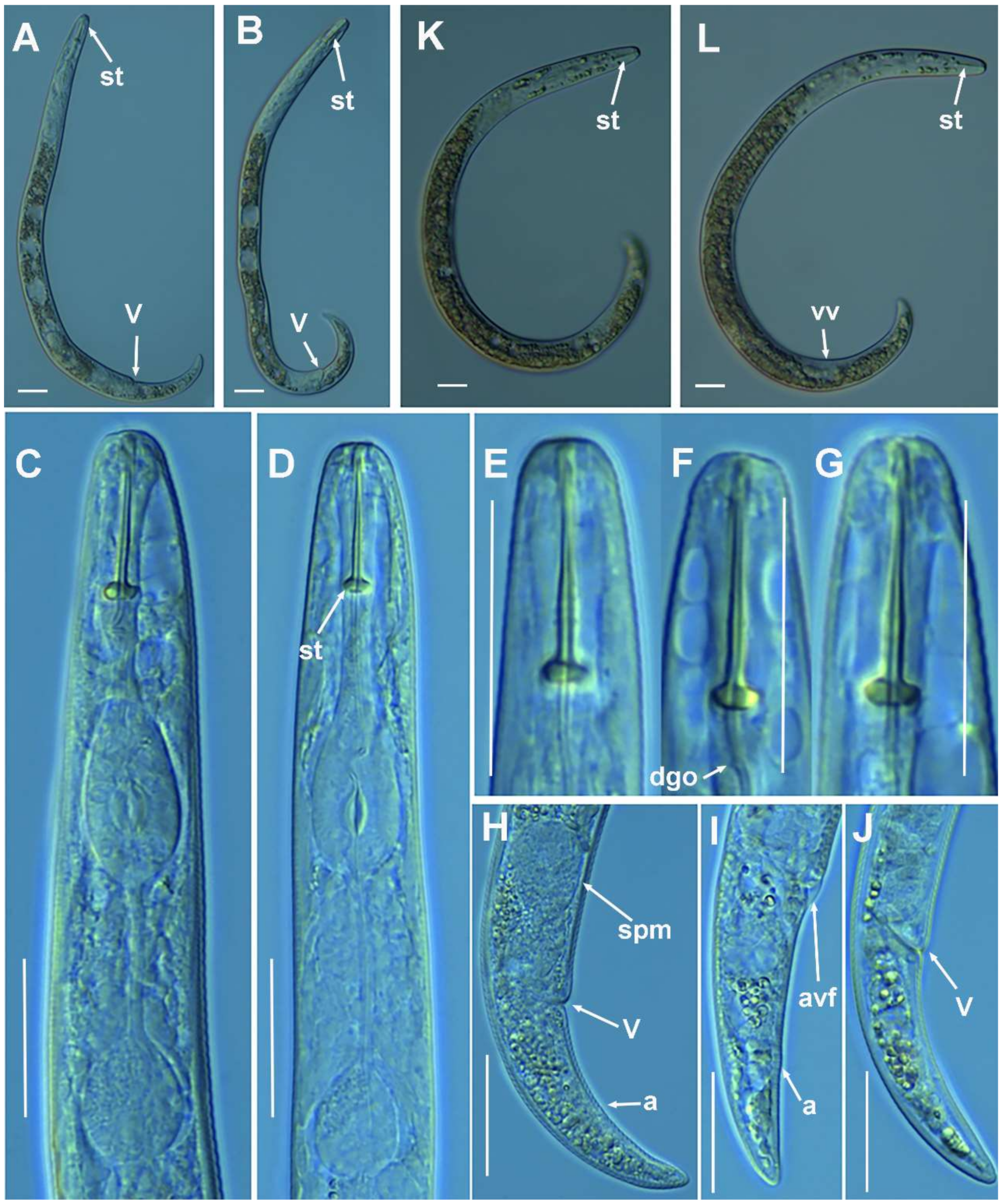 Plants 10 01454 g012