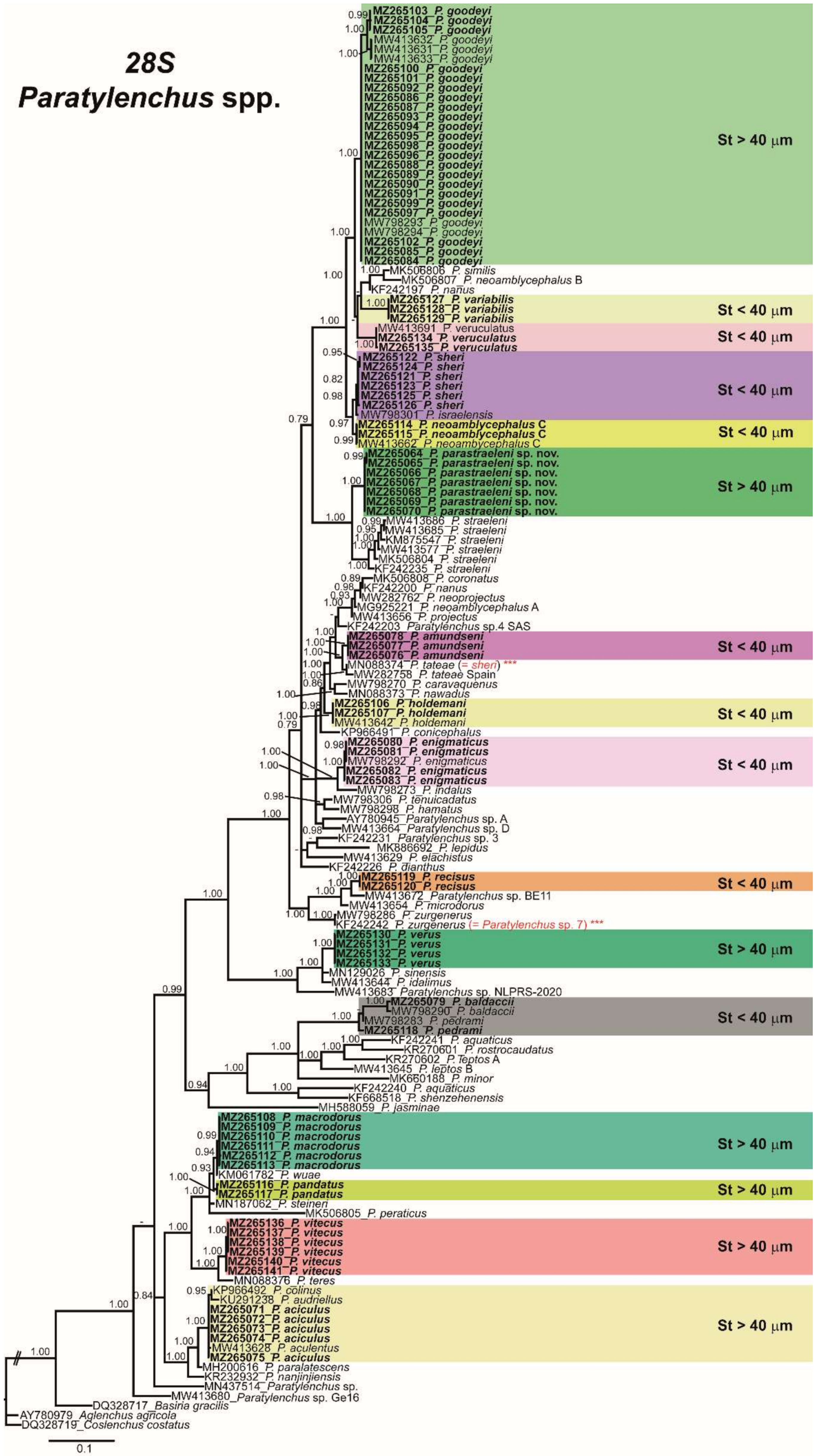 Plants 10 01454 g016