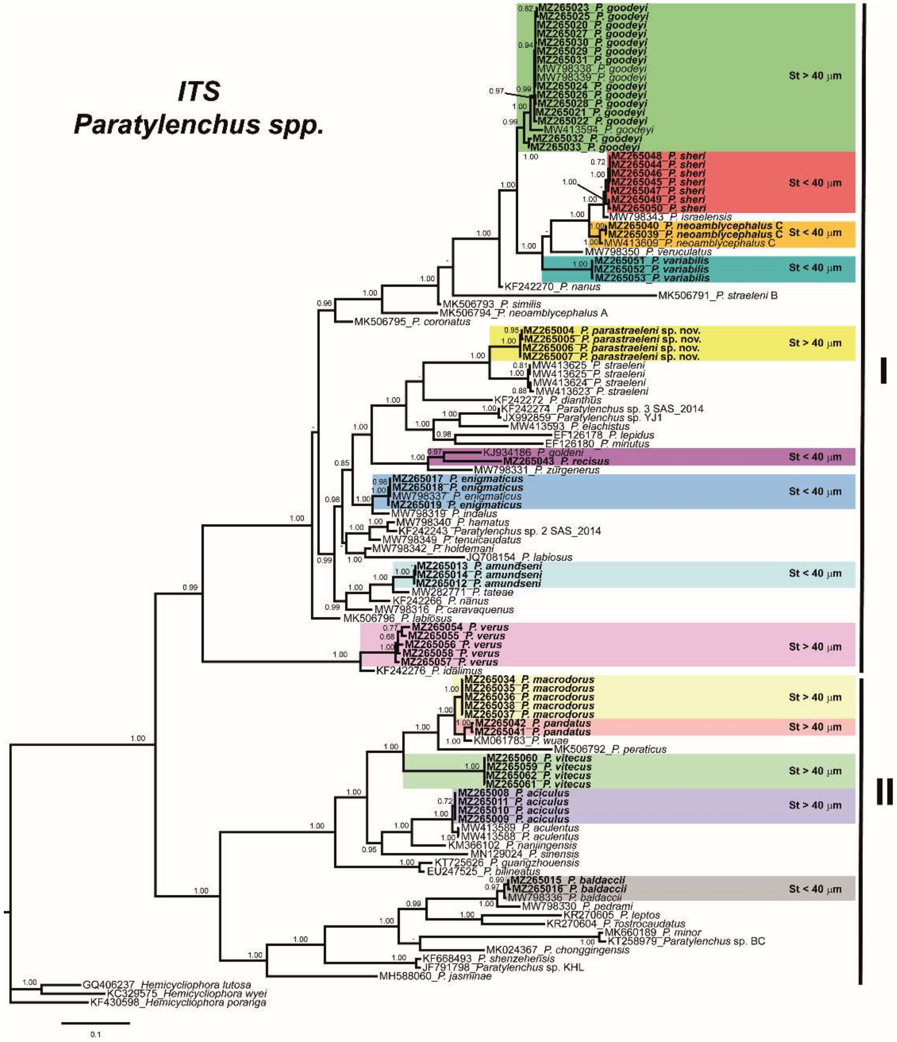 Plants 10 01454 g017