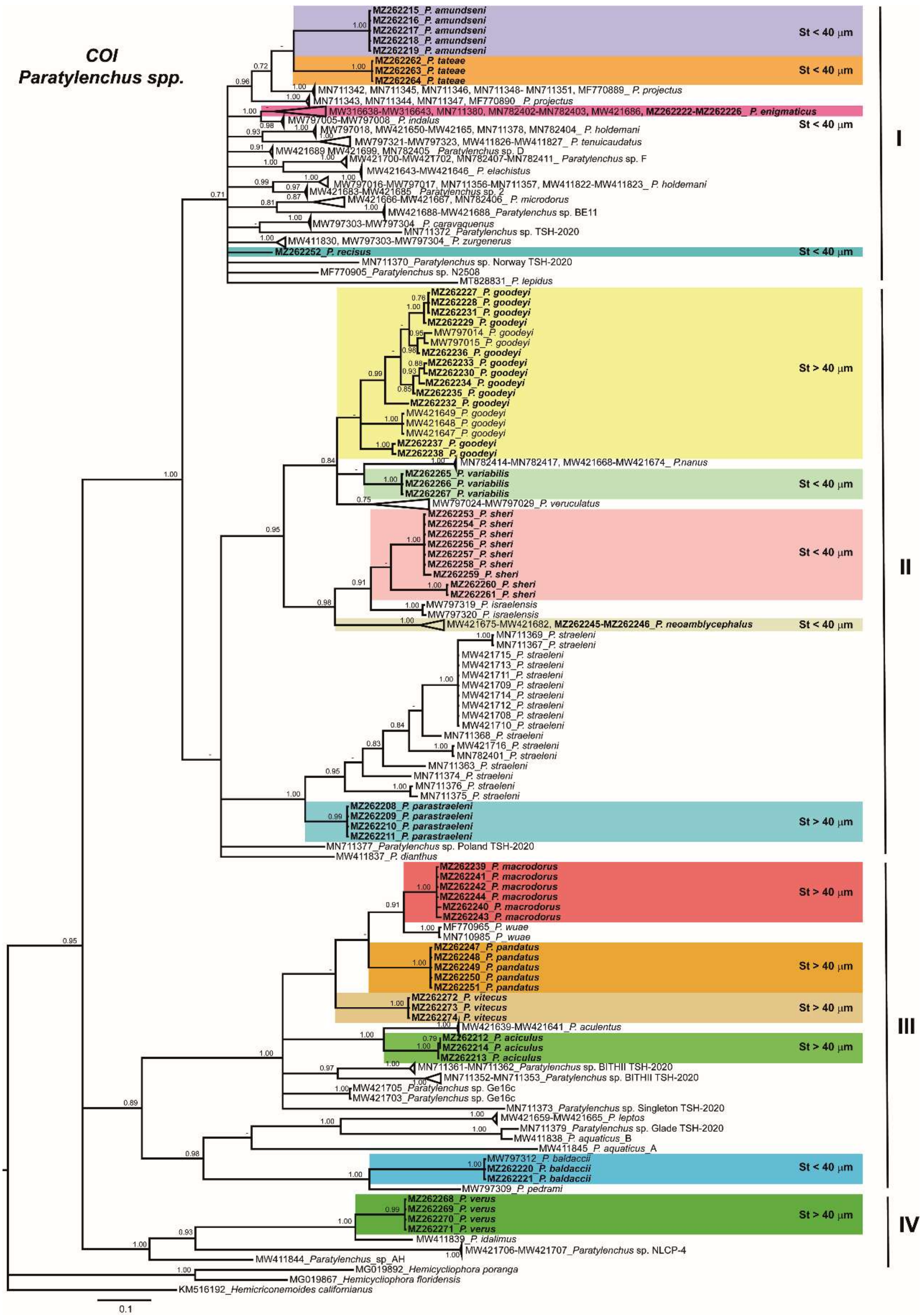 Plants 10 01454 g018