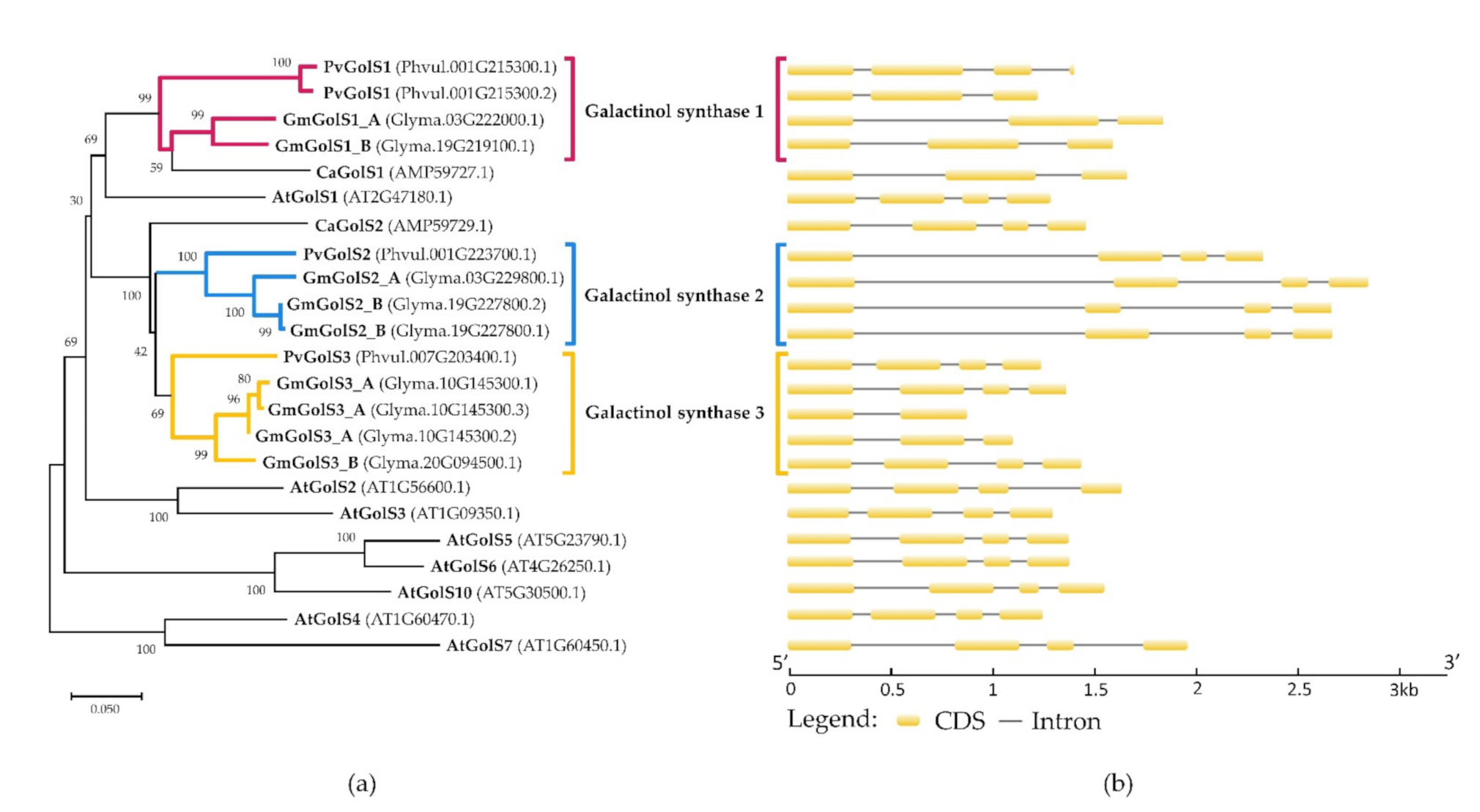Plants 10 01465 g001