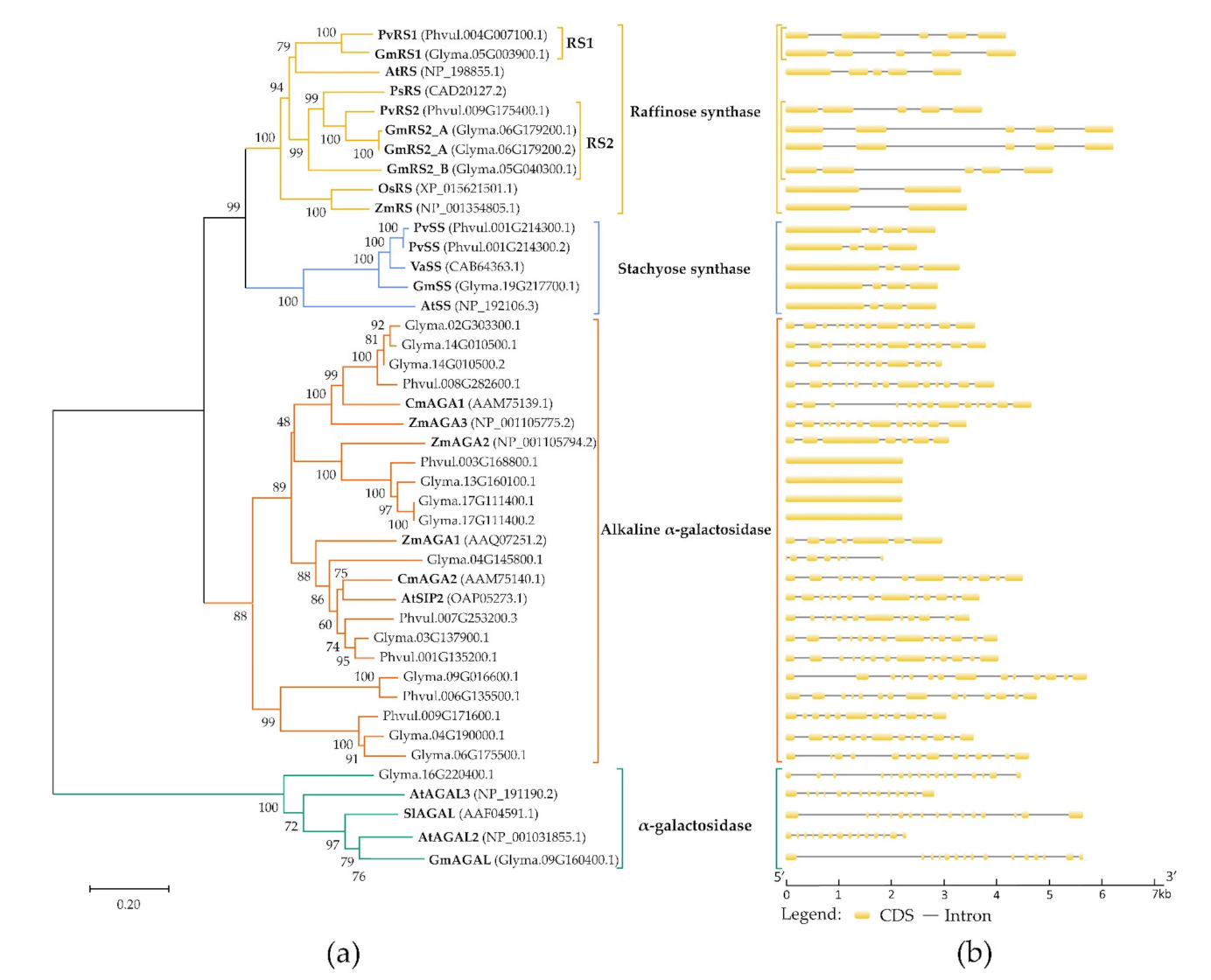 Plants 10 01465 g002