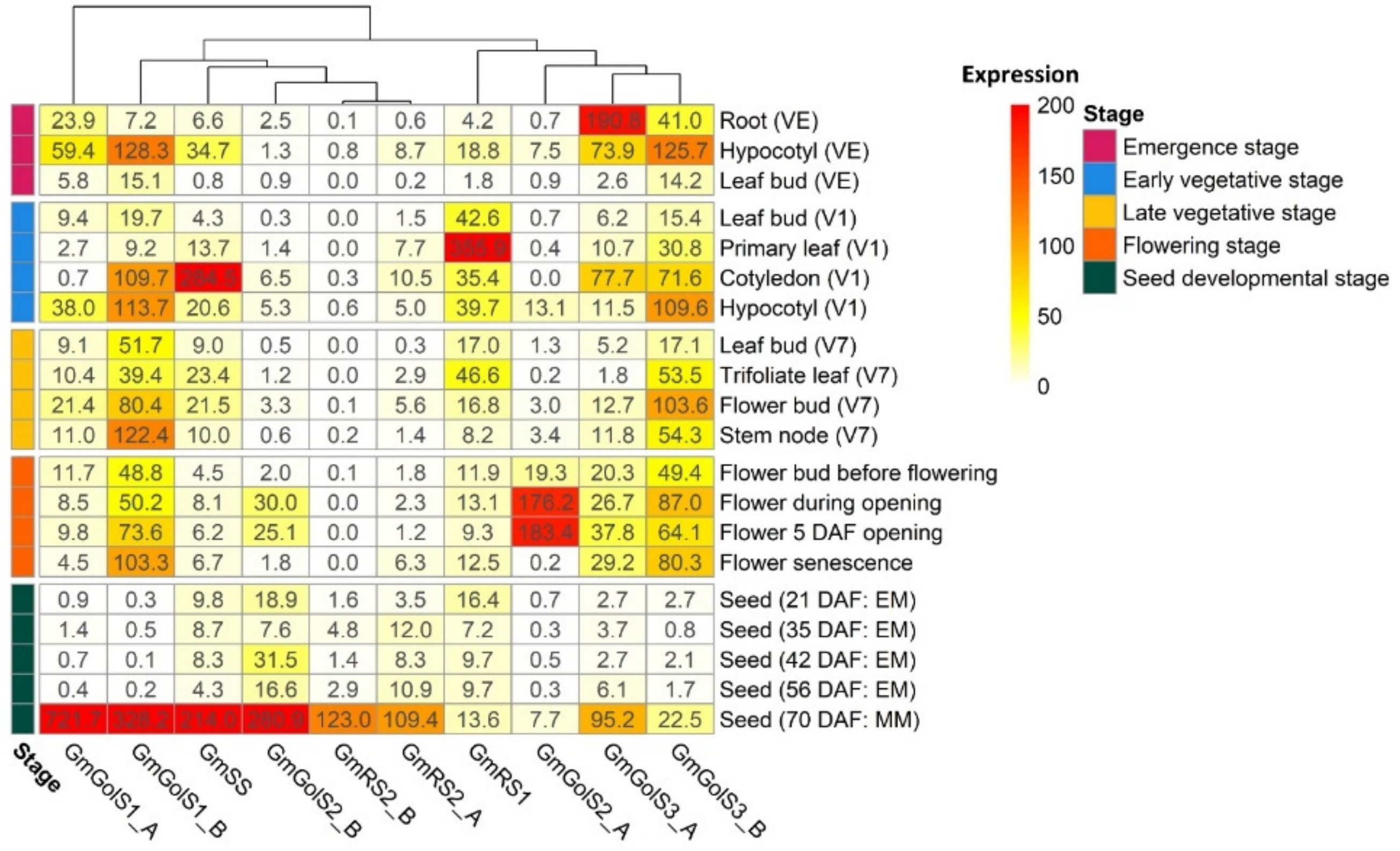 Plants 10 01465 g003