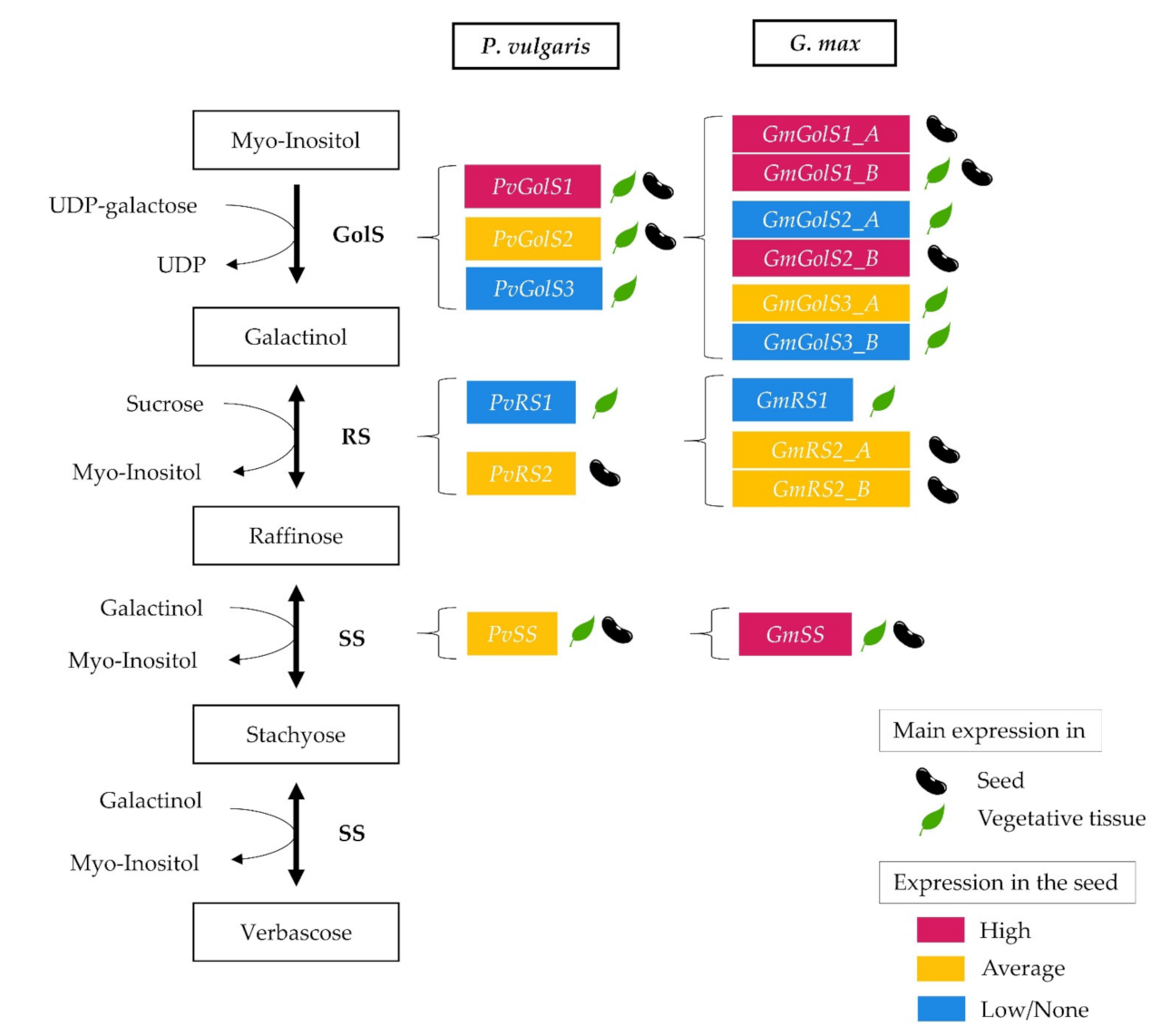 Plants 10 01465 g007