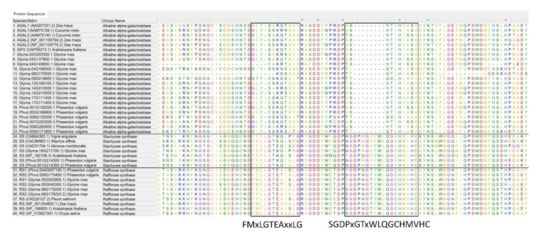Plants 10 01465 g0a1 550