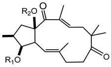 Plants 10 01468 i013