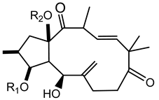 Plants 10 01468 i014