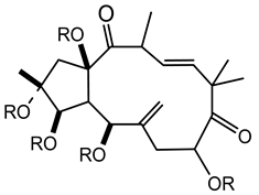 Plants 10 01468 i015