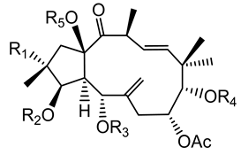 Plants 10 01468 i016