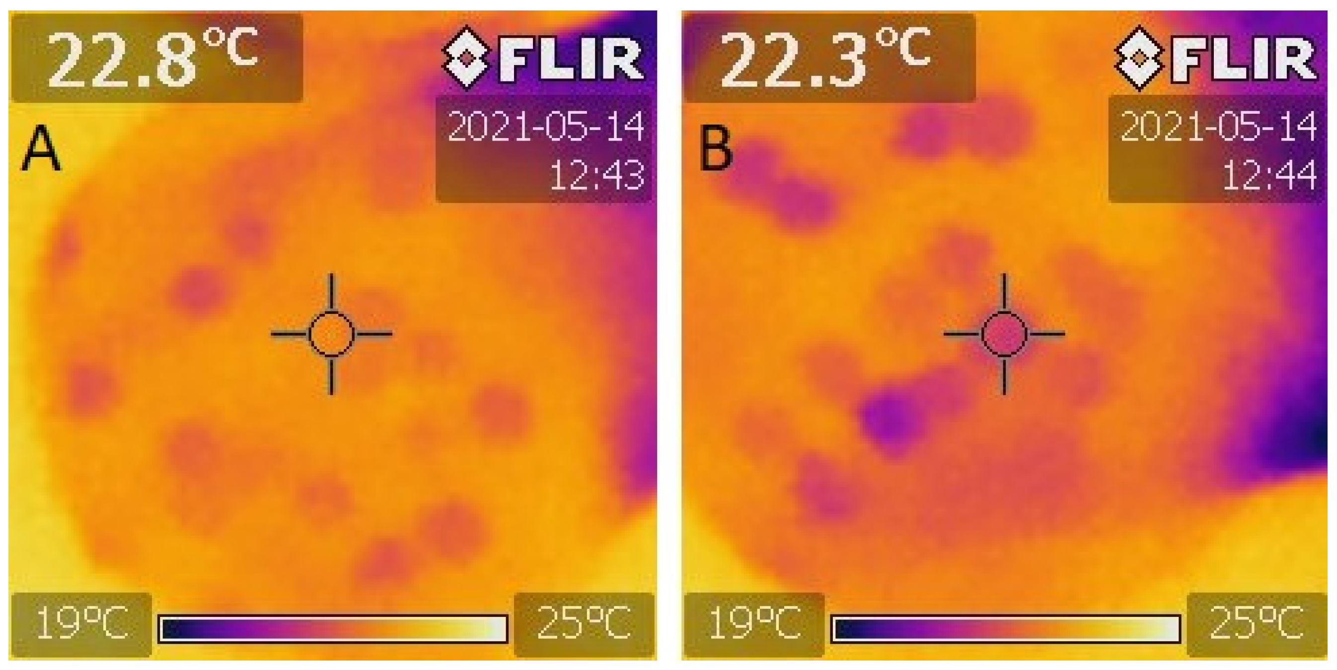 Plants 10 01470 g001