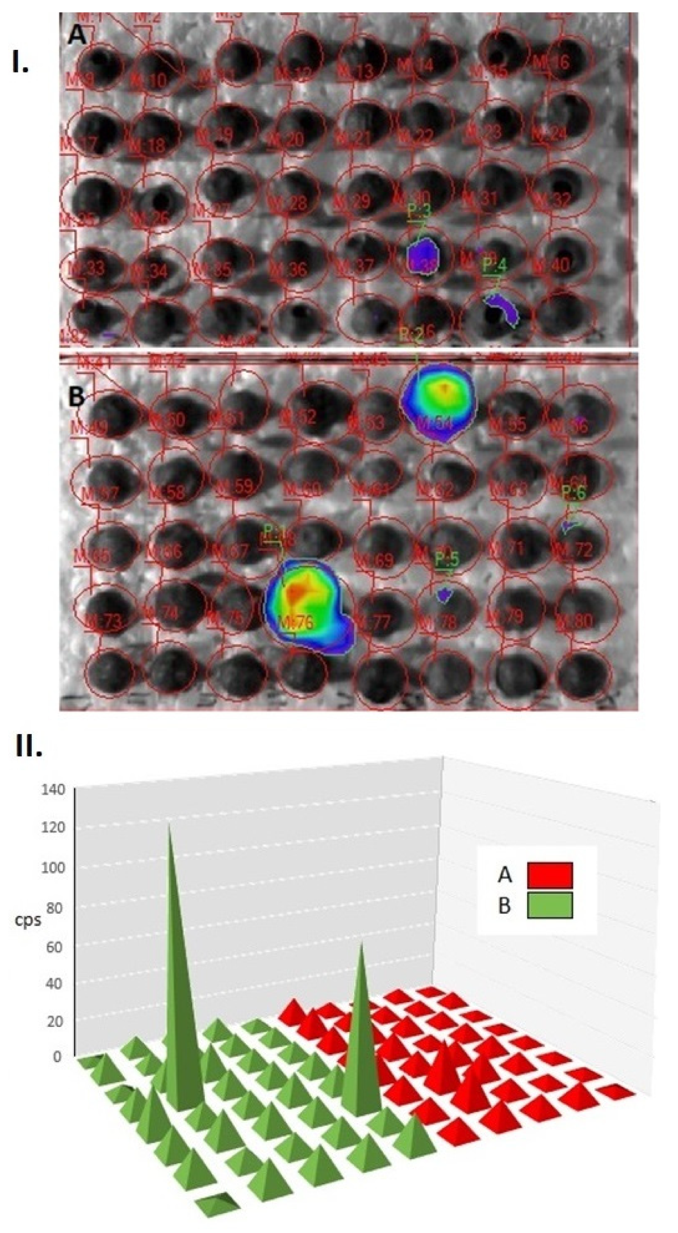 Plants 10 01470 g003
