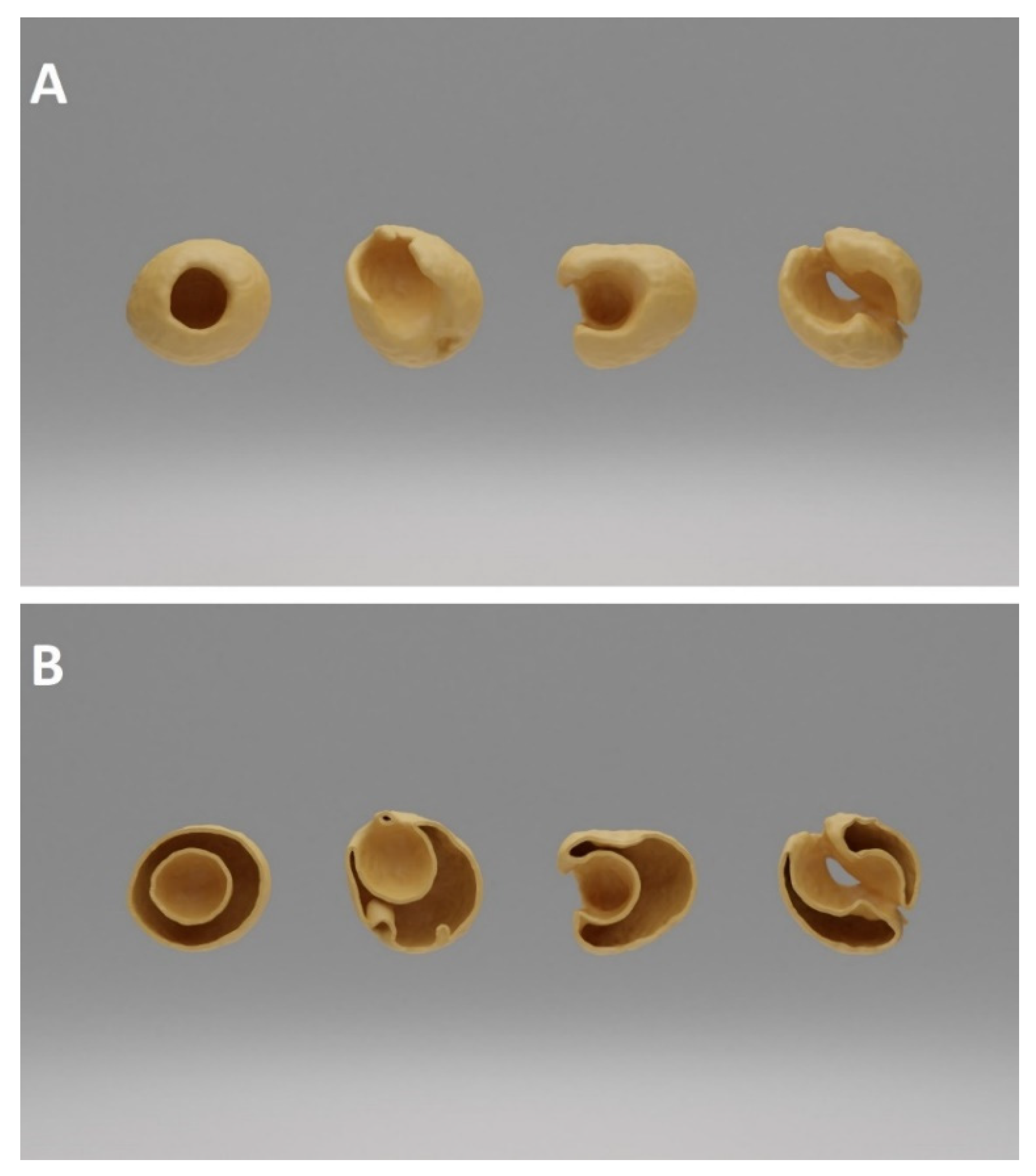 Plants 10 01470 g004
