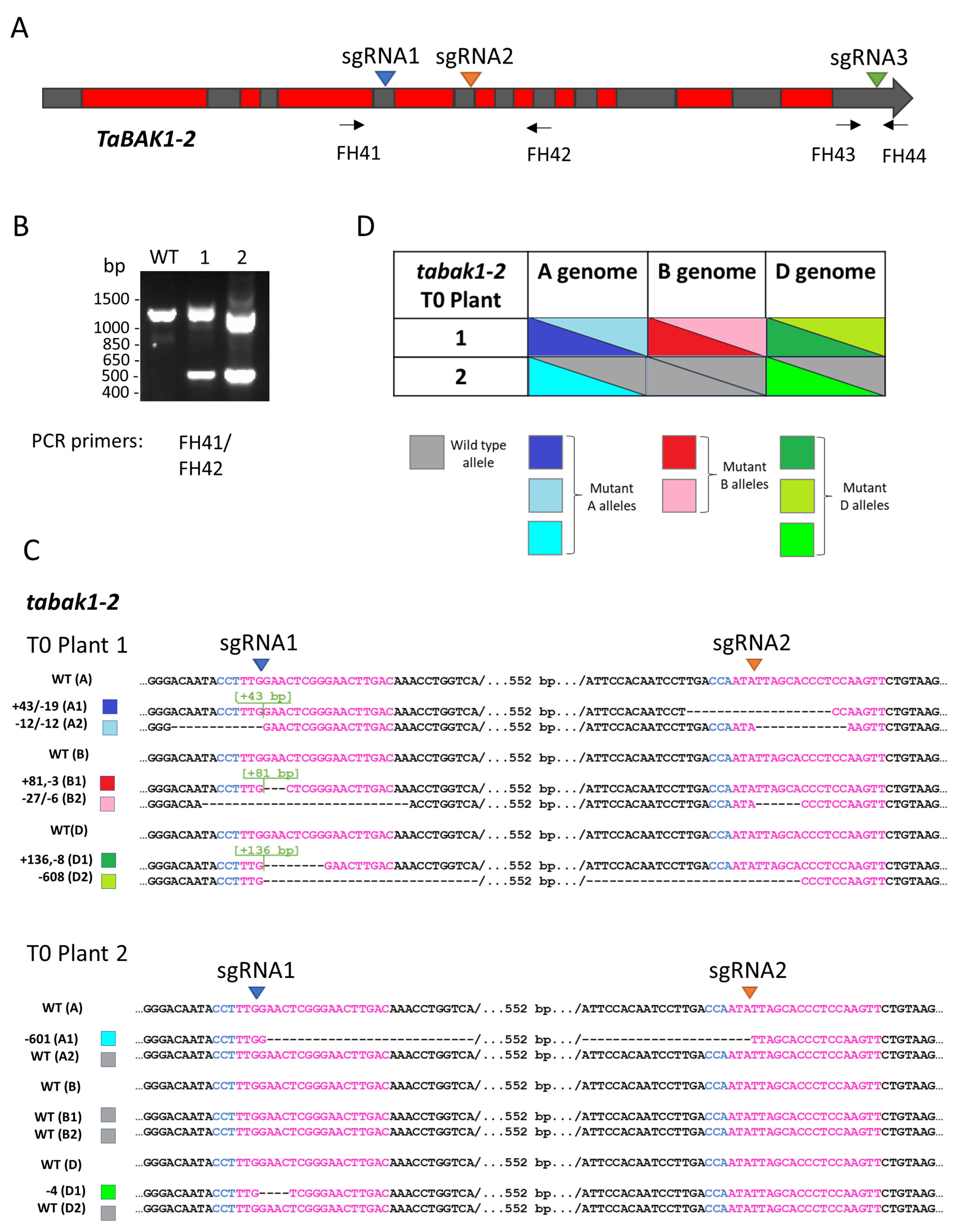 Plants 10 01481 g001
