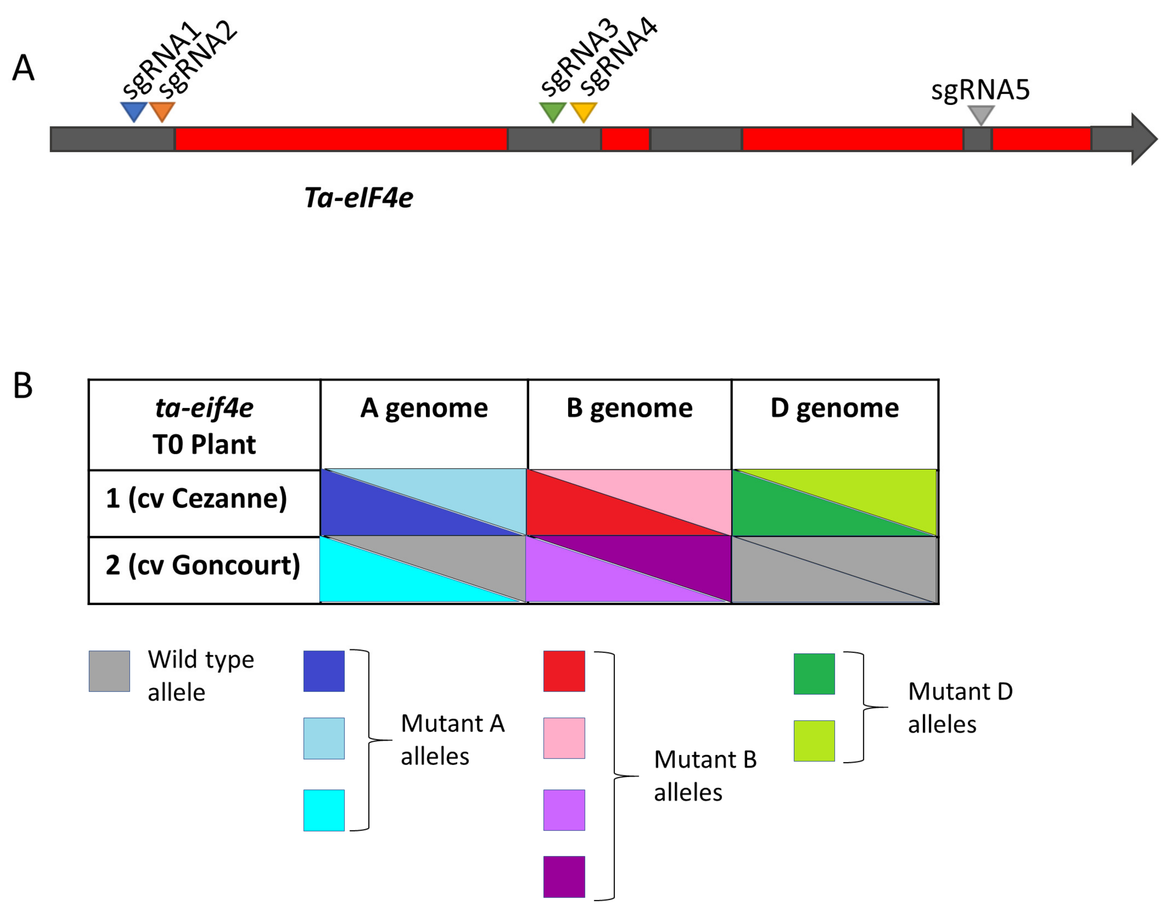 Plants 10 01481 g003