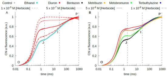 Plants 10 01501 g0a1 550