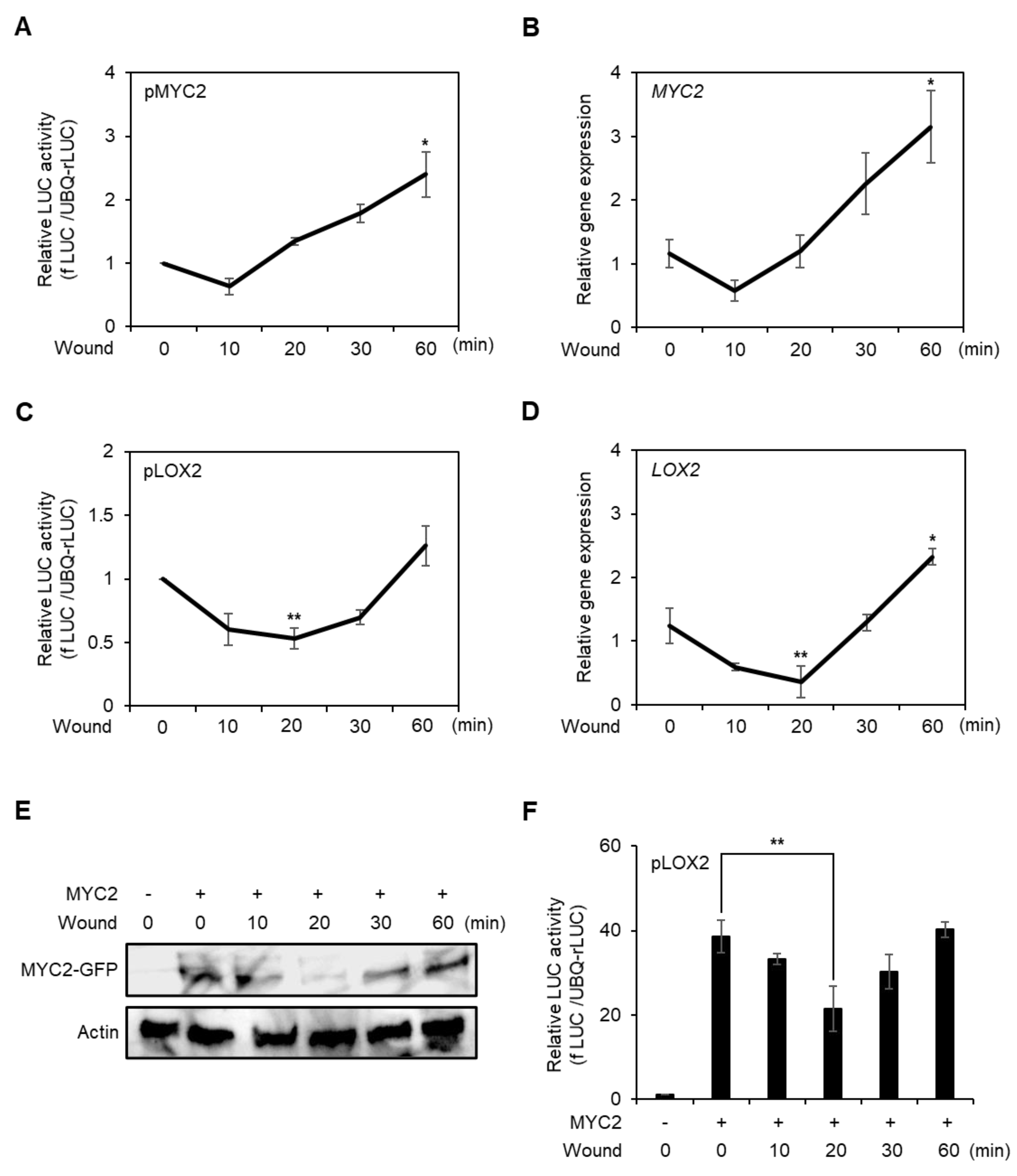 Plants 10 01518 g003