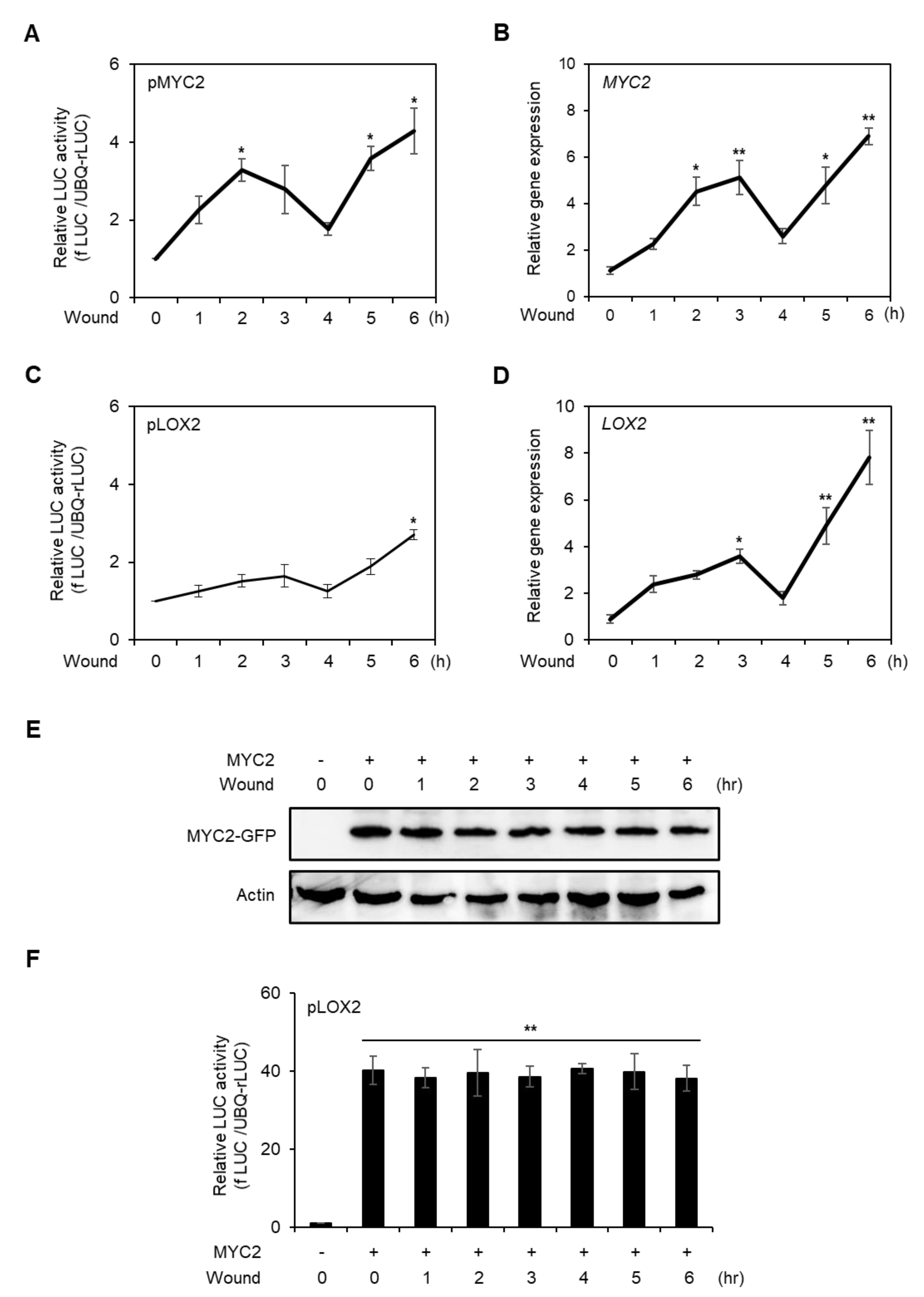 Plants 10 01518 g004