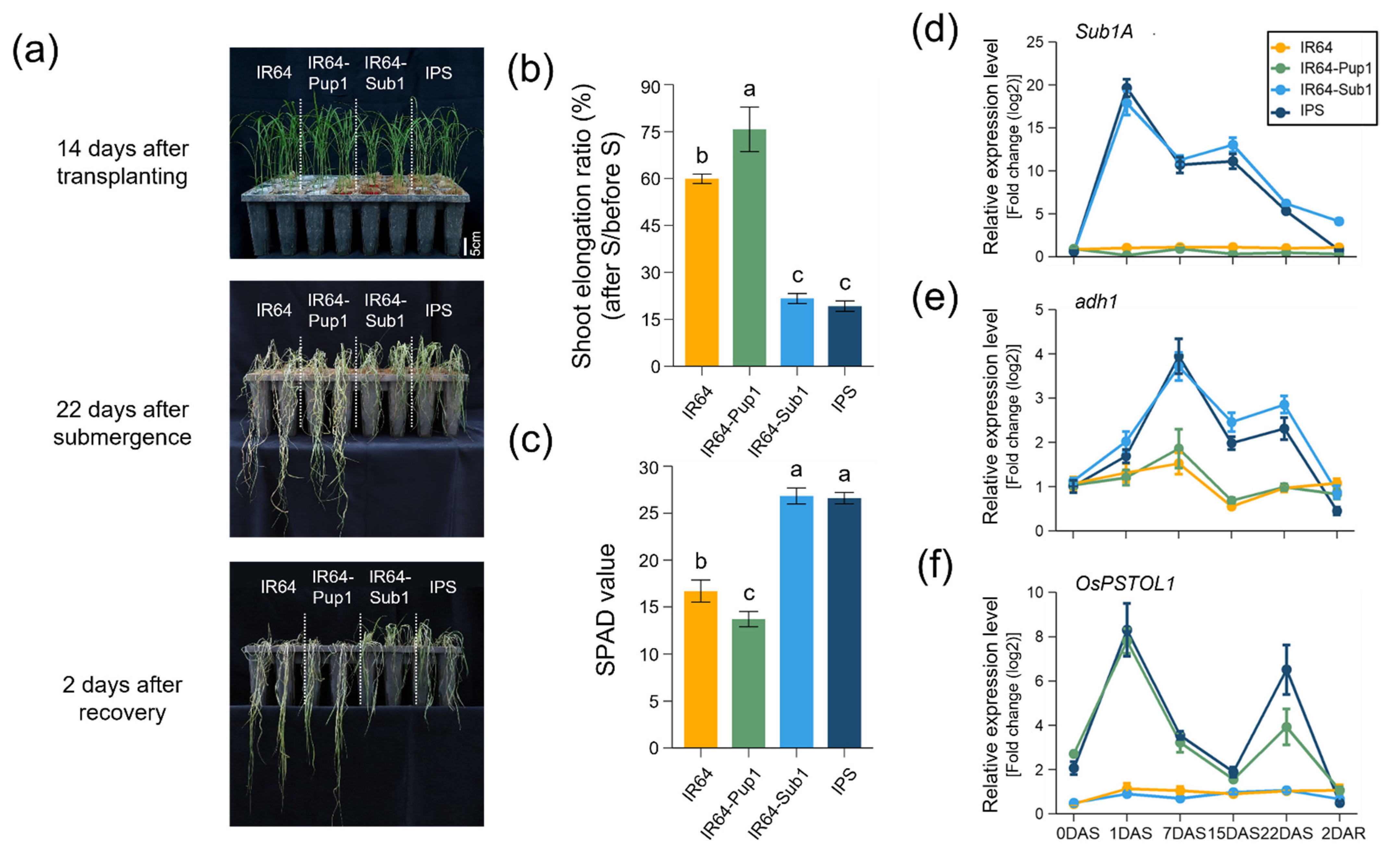 Plants 10 01523 g002