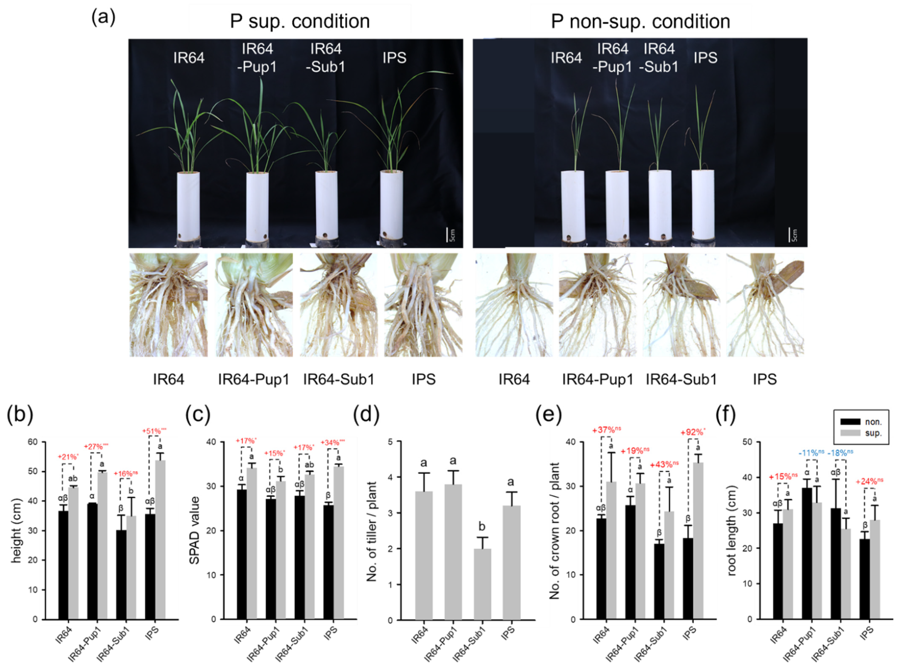 Plants 10 01523 g003