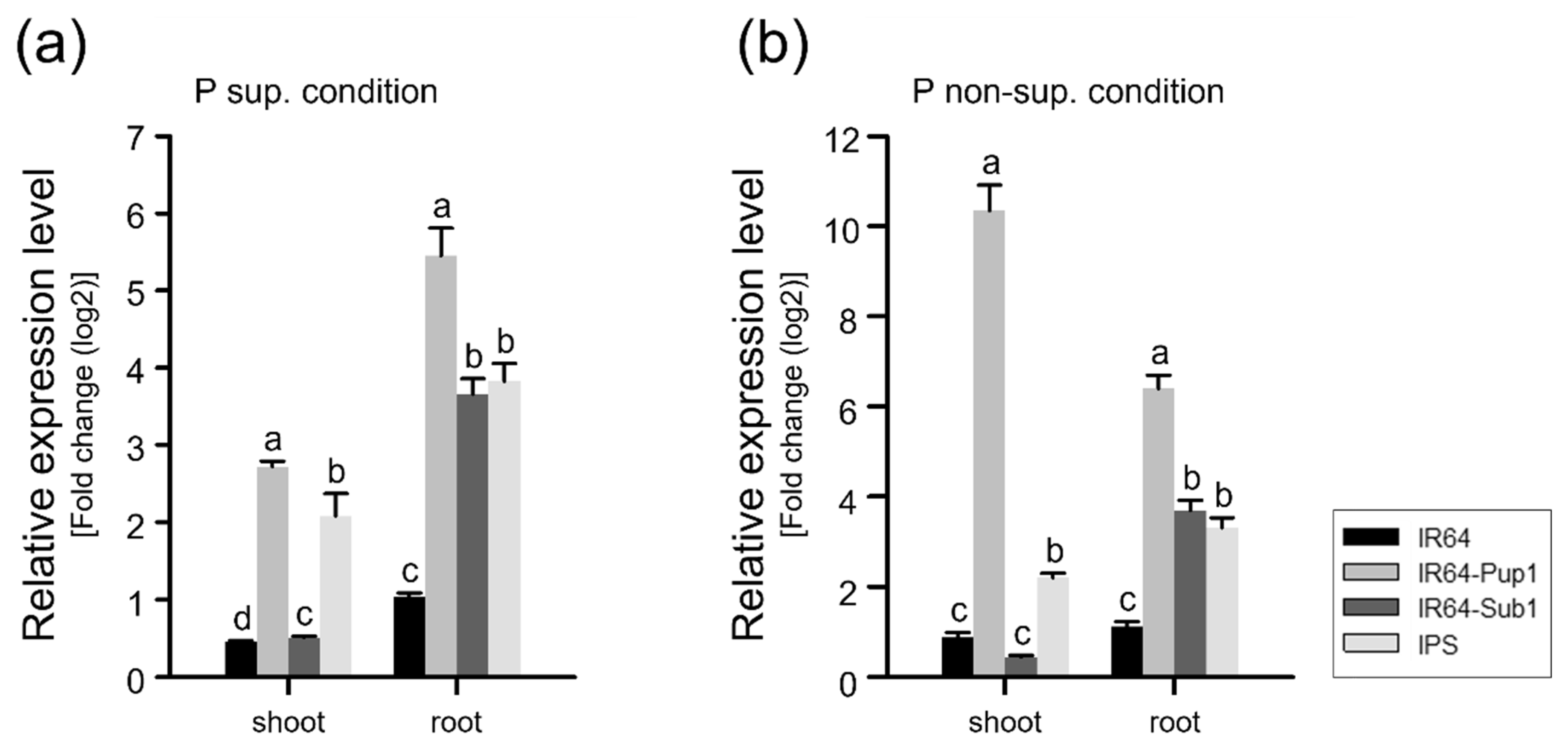 Plants 10 01523 g005