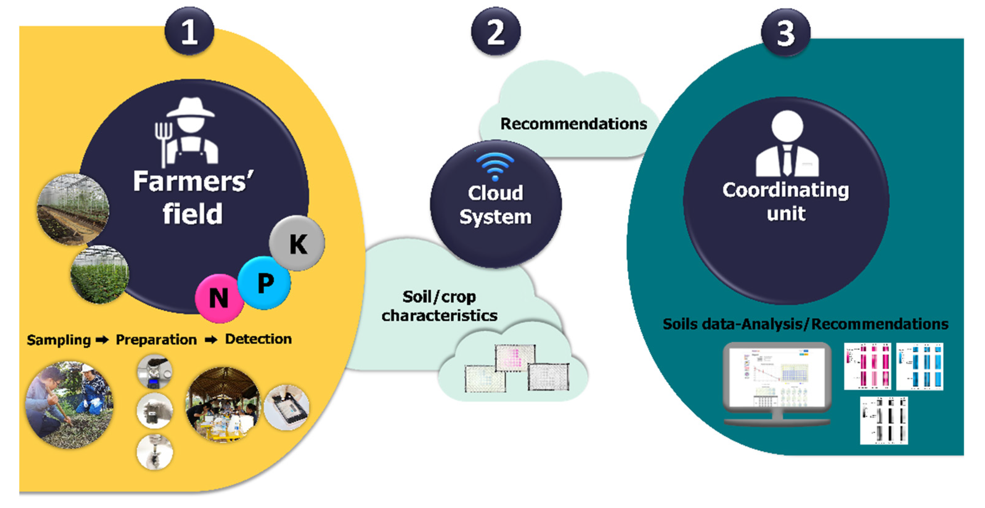 Plants 10 01524 g001