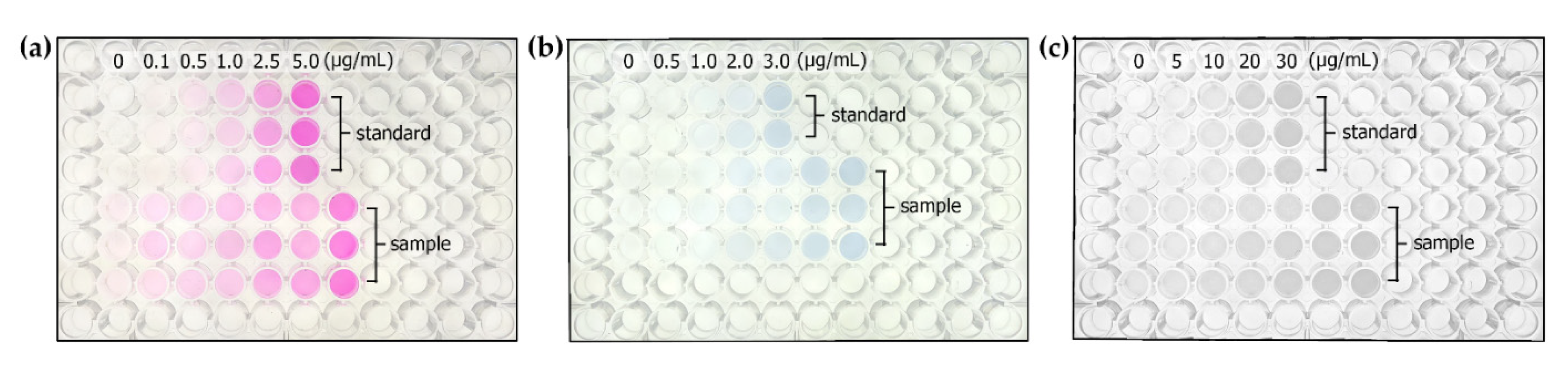 Plants 10 01524 g002
