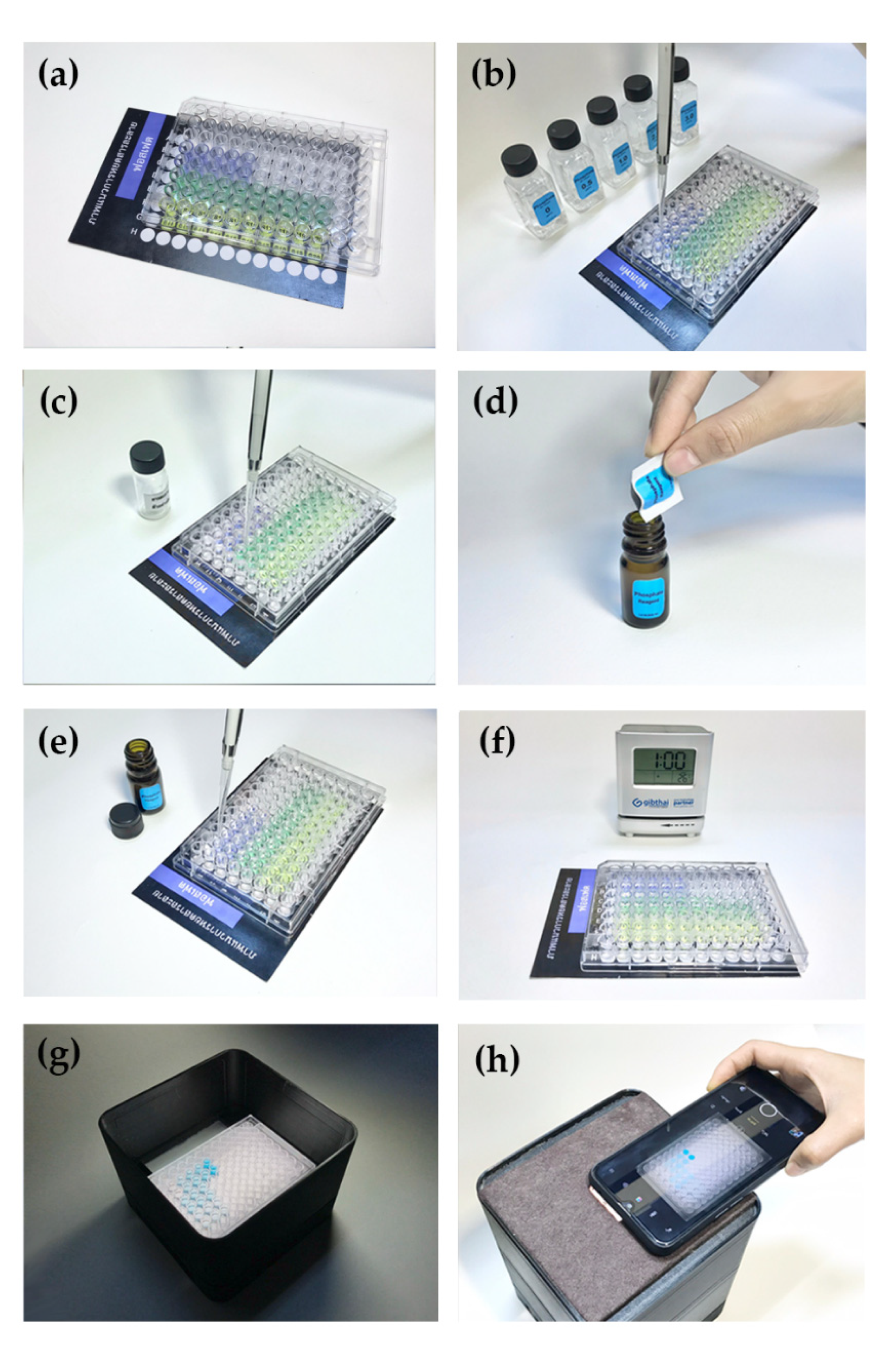 Plants 10 01524 g007