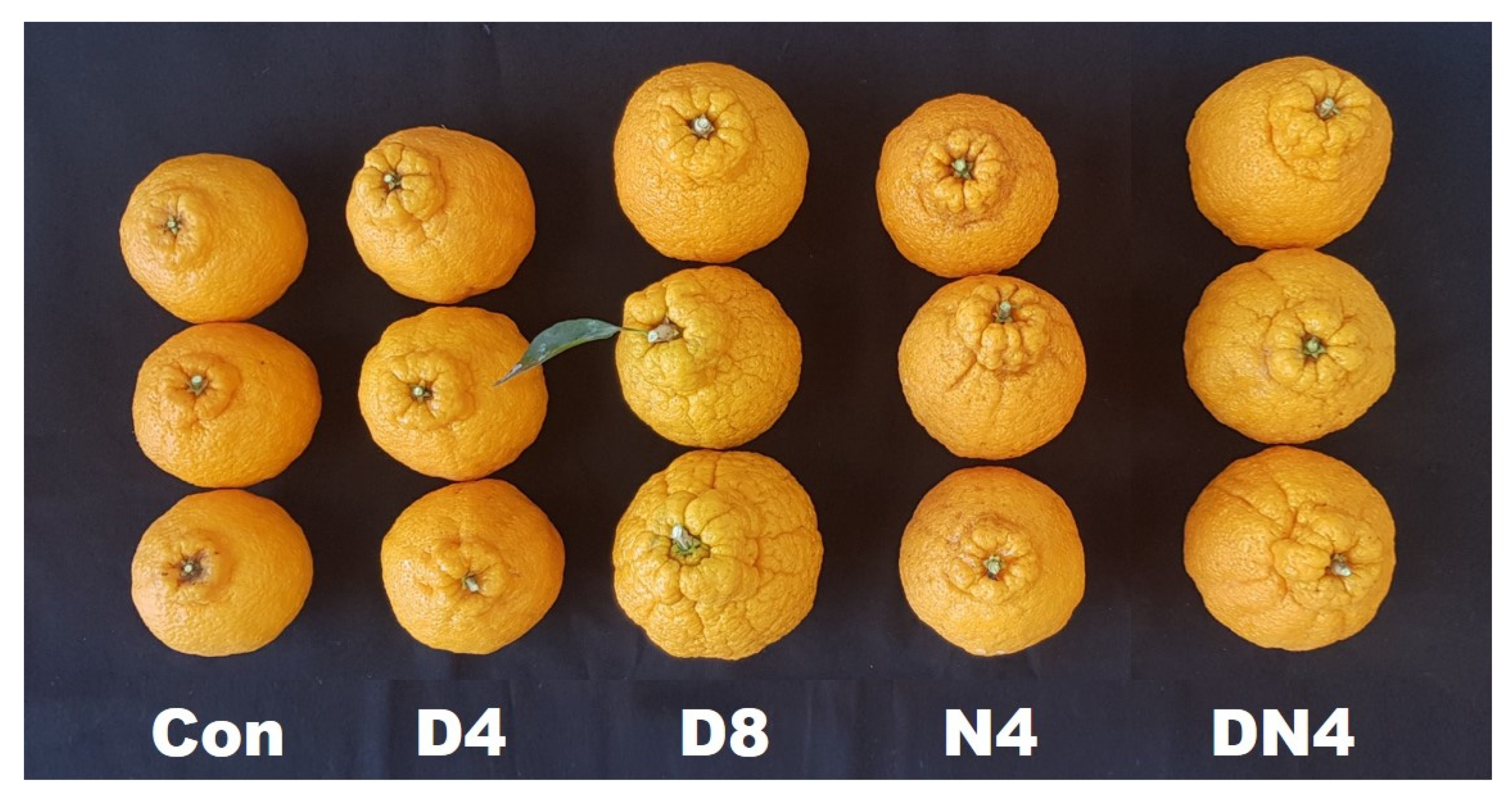 Plants 10 01525 g004