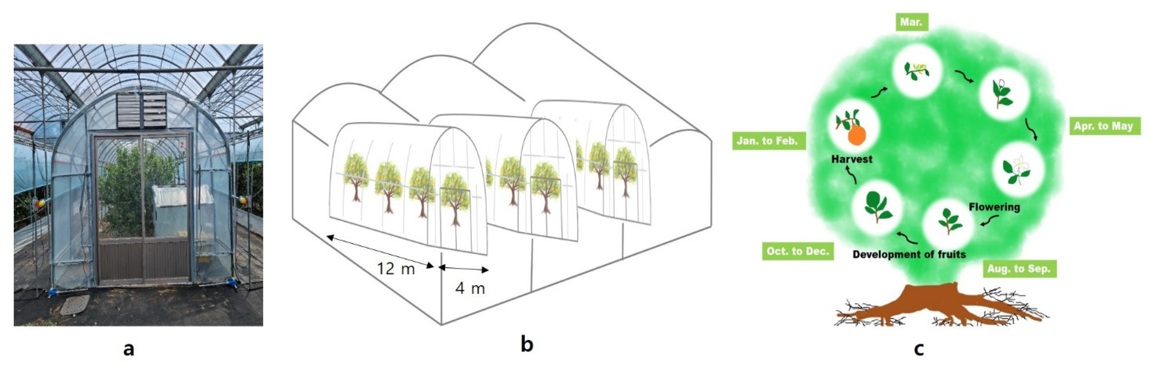 Plants 10 01525 g006