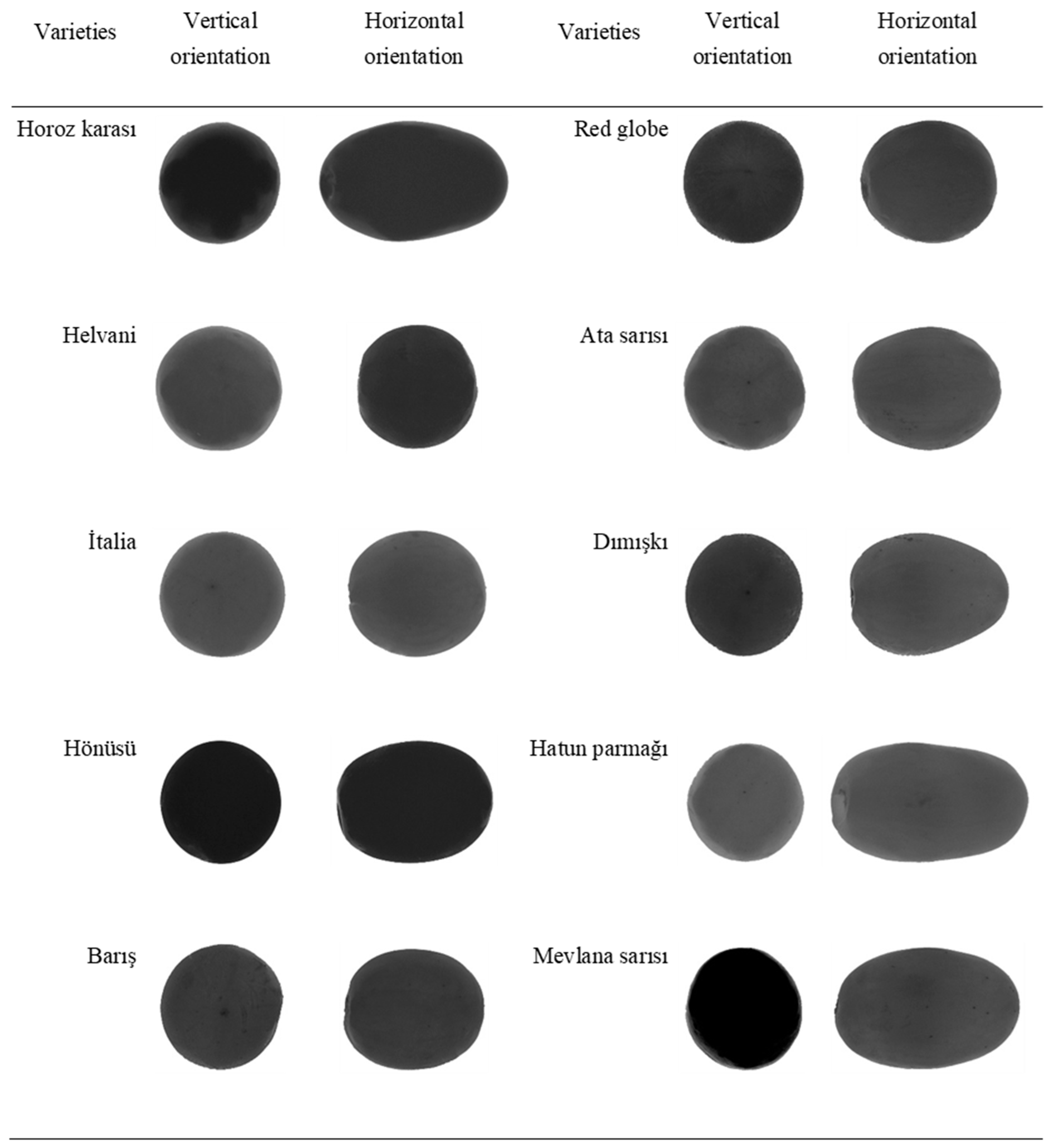 Plants 10 01528 g001