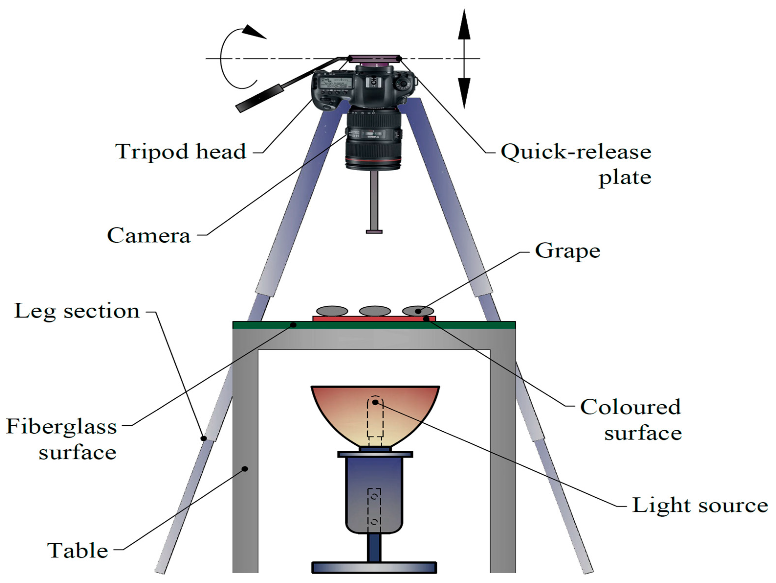 Plants 10 01528 g002