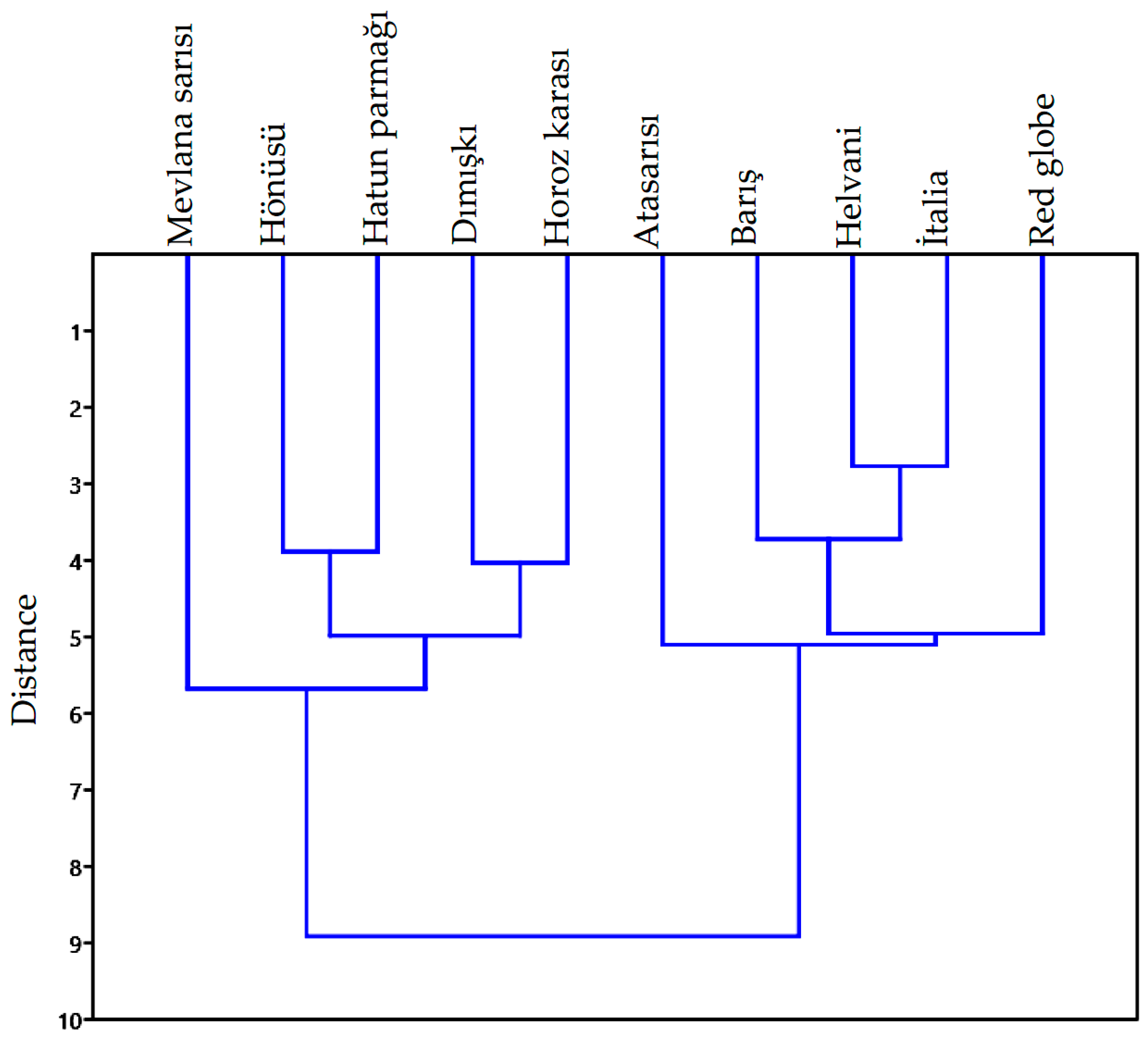 Plants 10 01528 g007