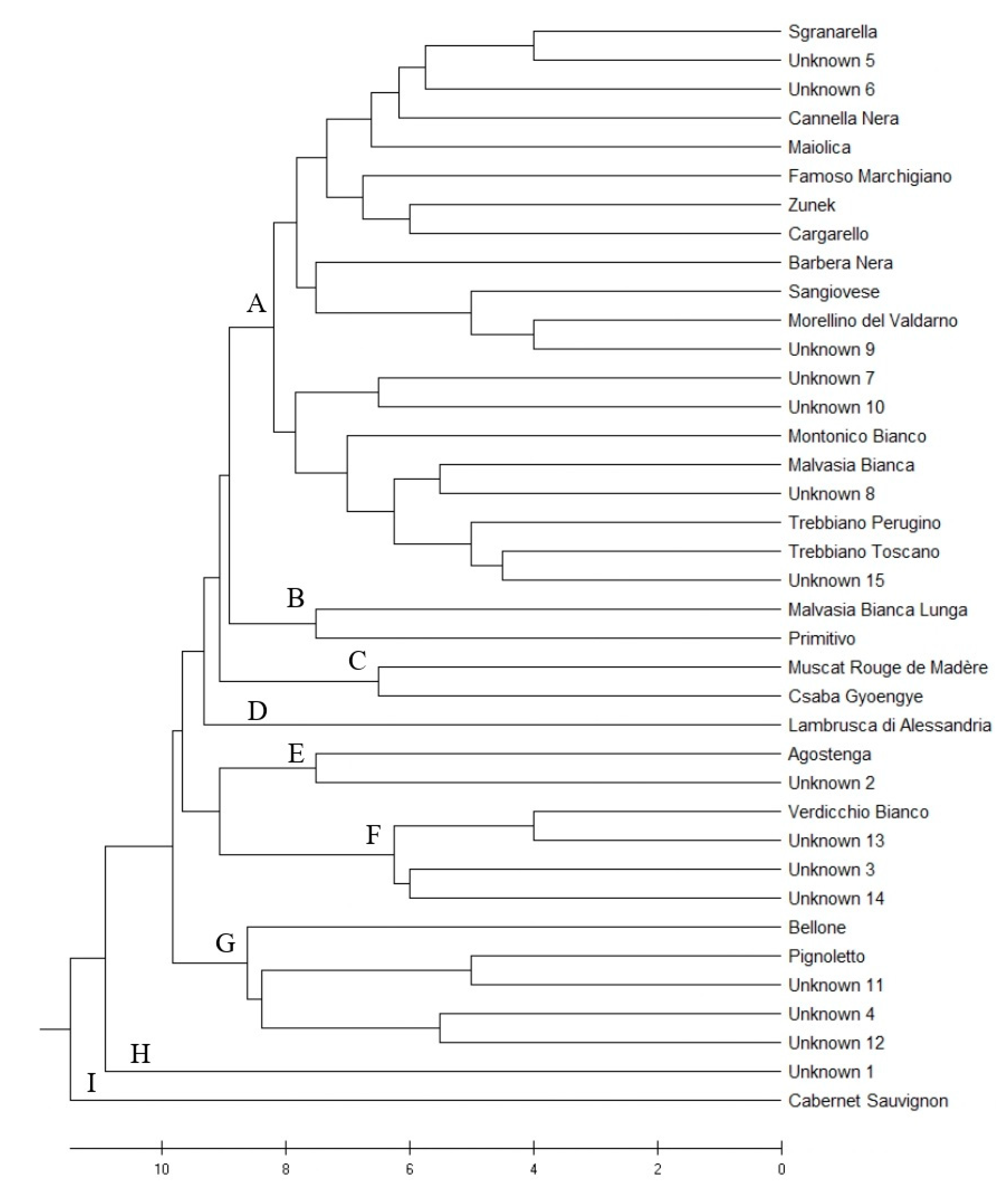 Plants 10 01539 g002