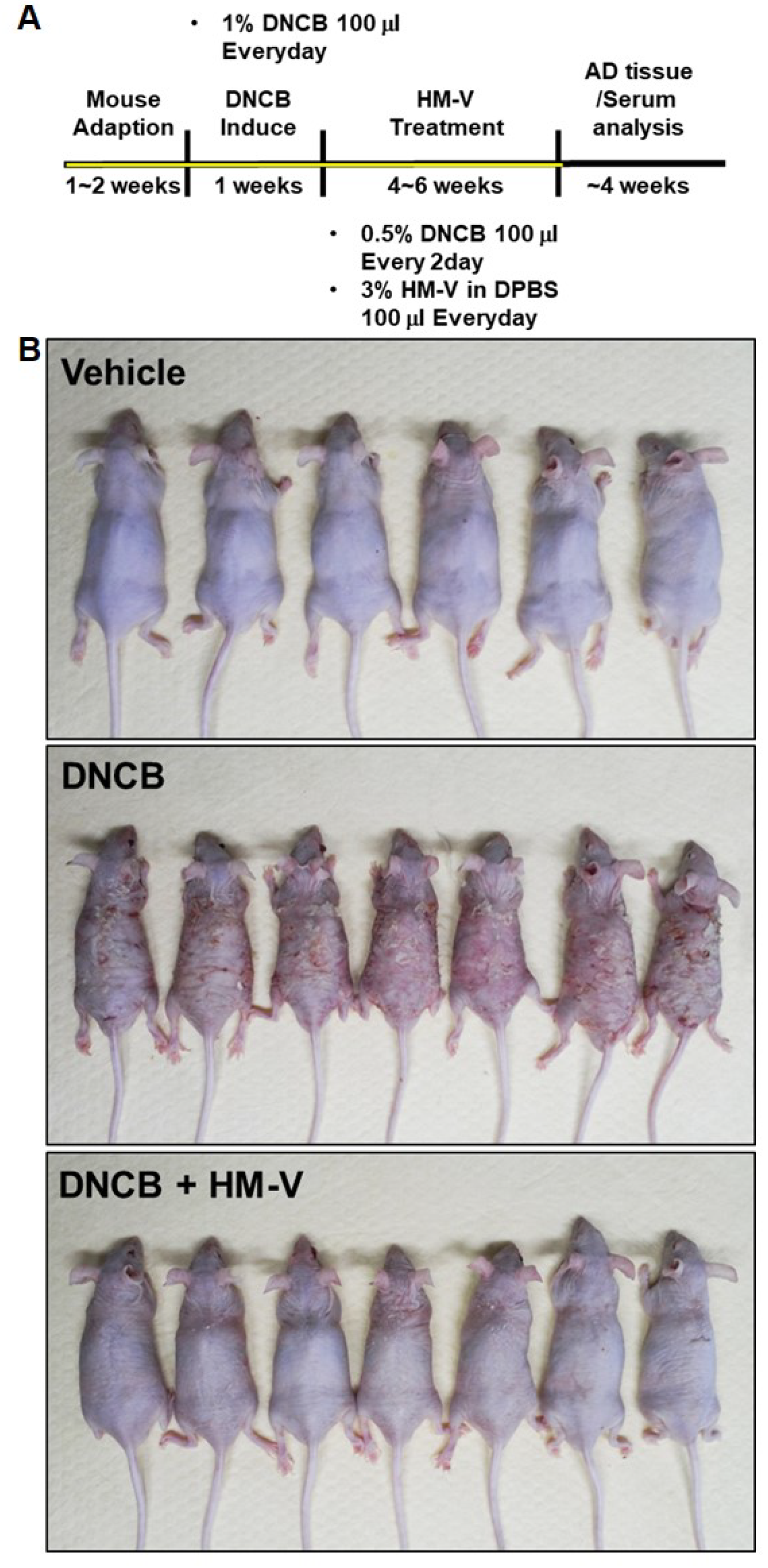 Plants 10 01546 g002