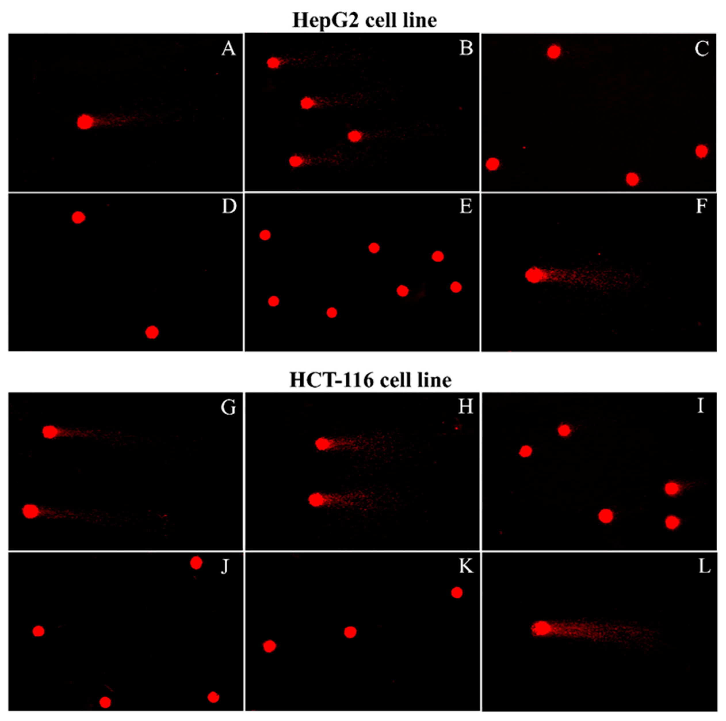 Plants 10 01551 g007