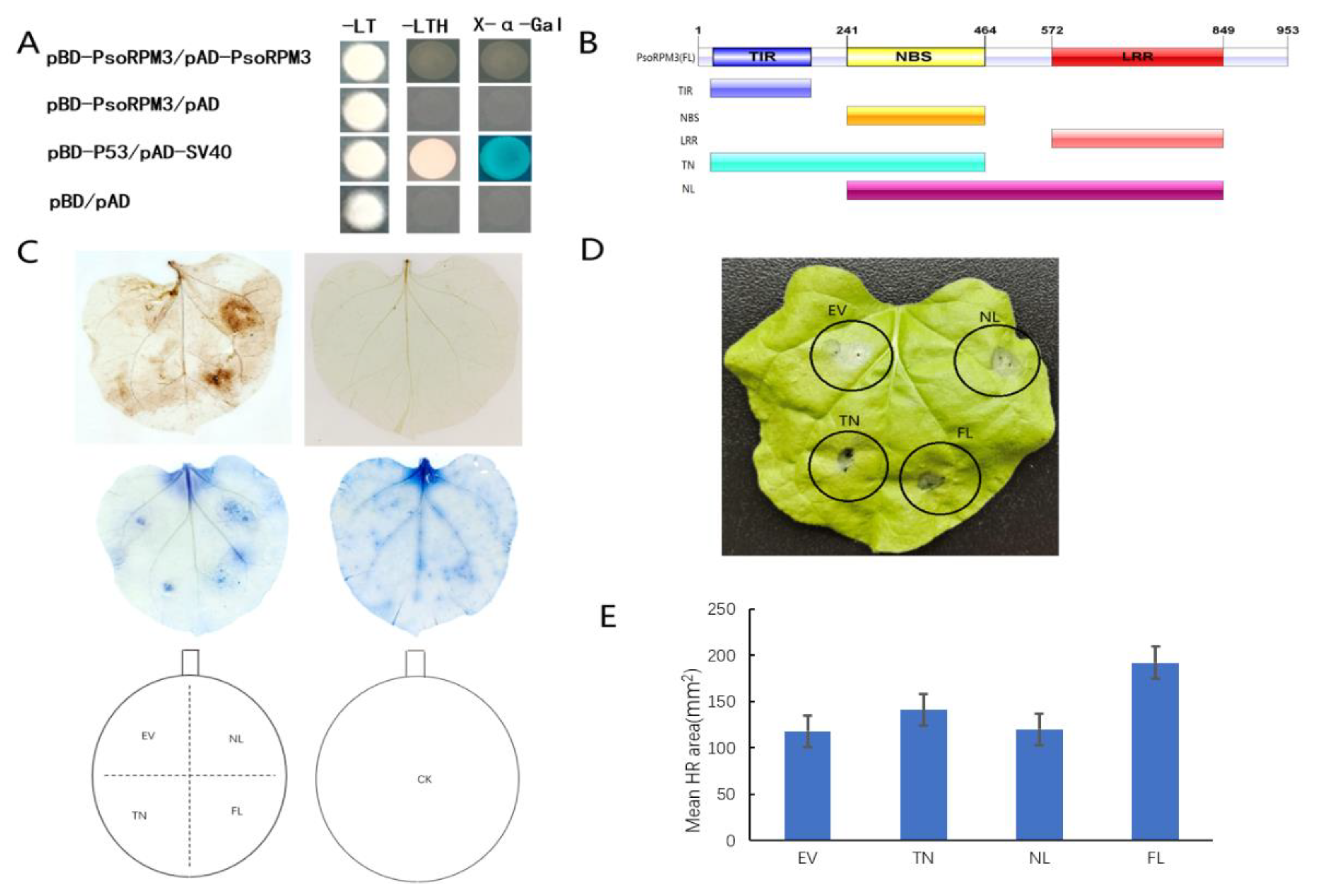 Plants 10 01561 g002