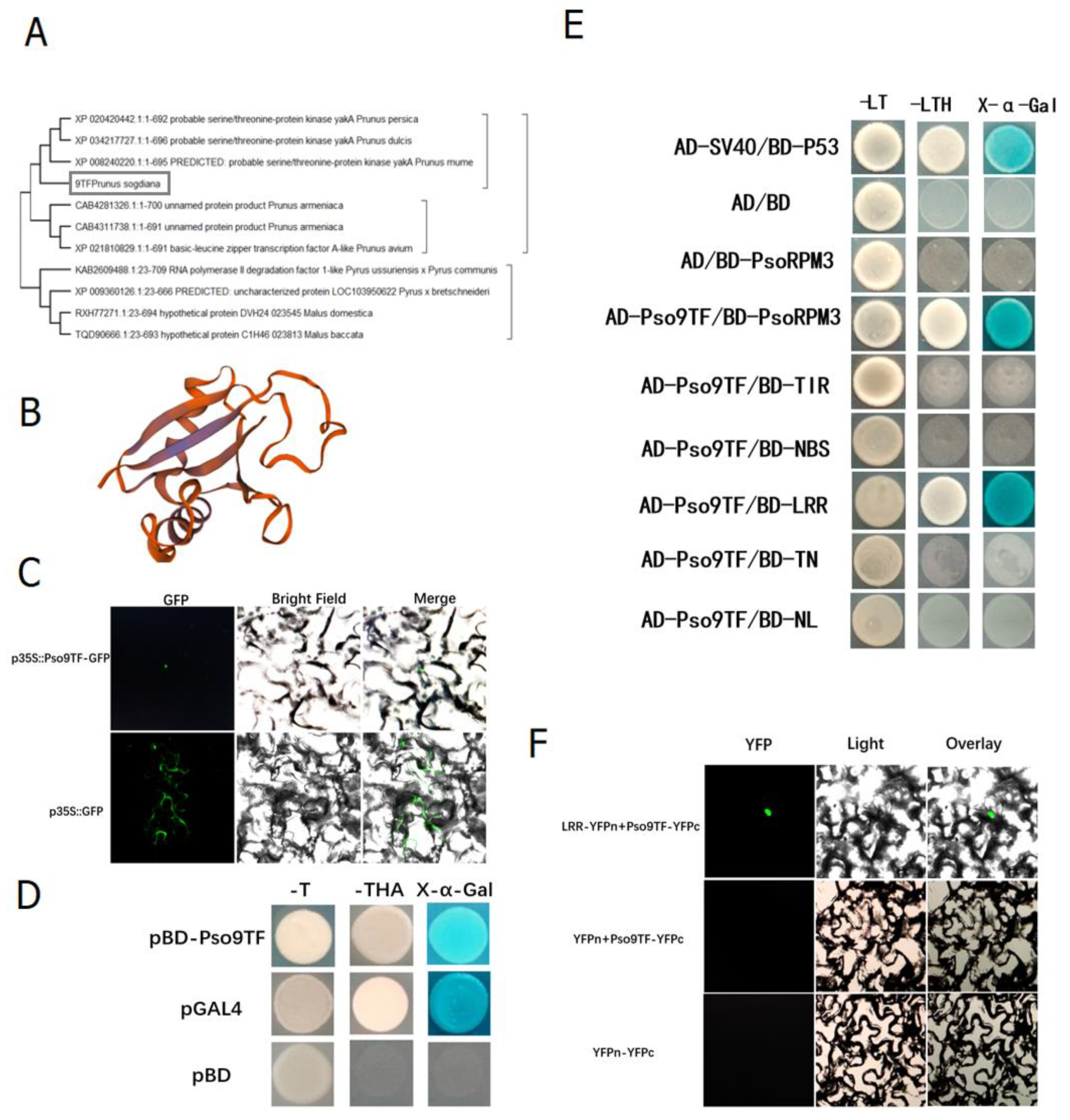 Plants 10 01561 g003